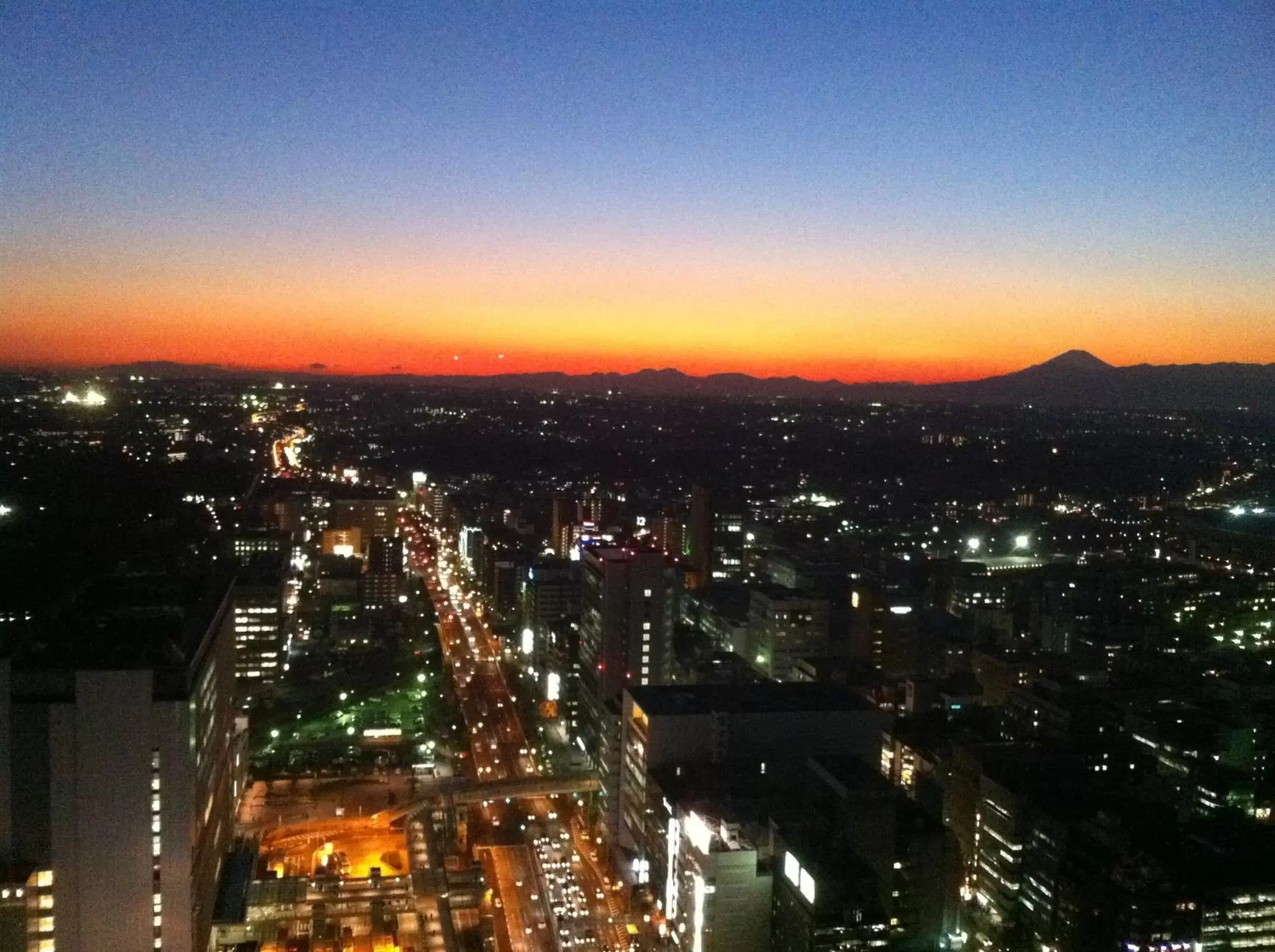 View (from property/room), Bird's-eye View in Shin Yokohama Prince Hotel
