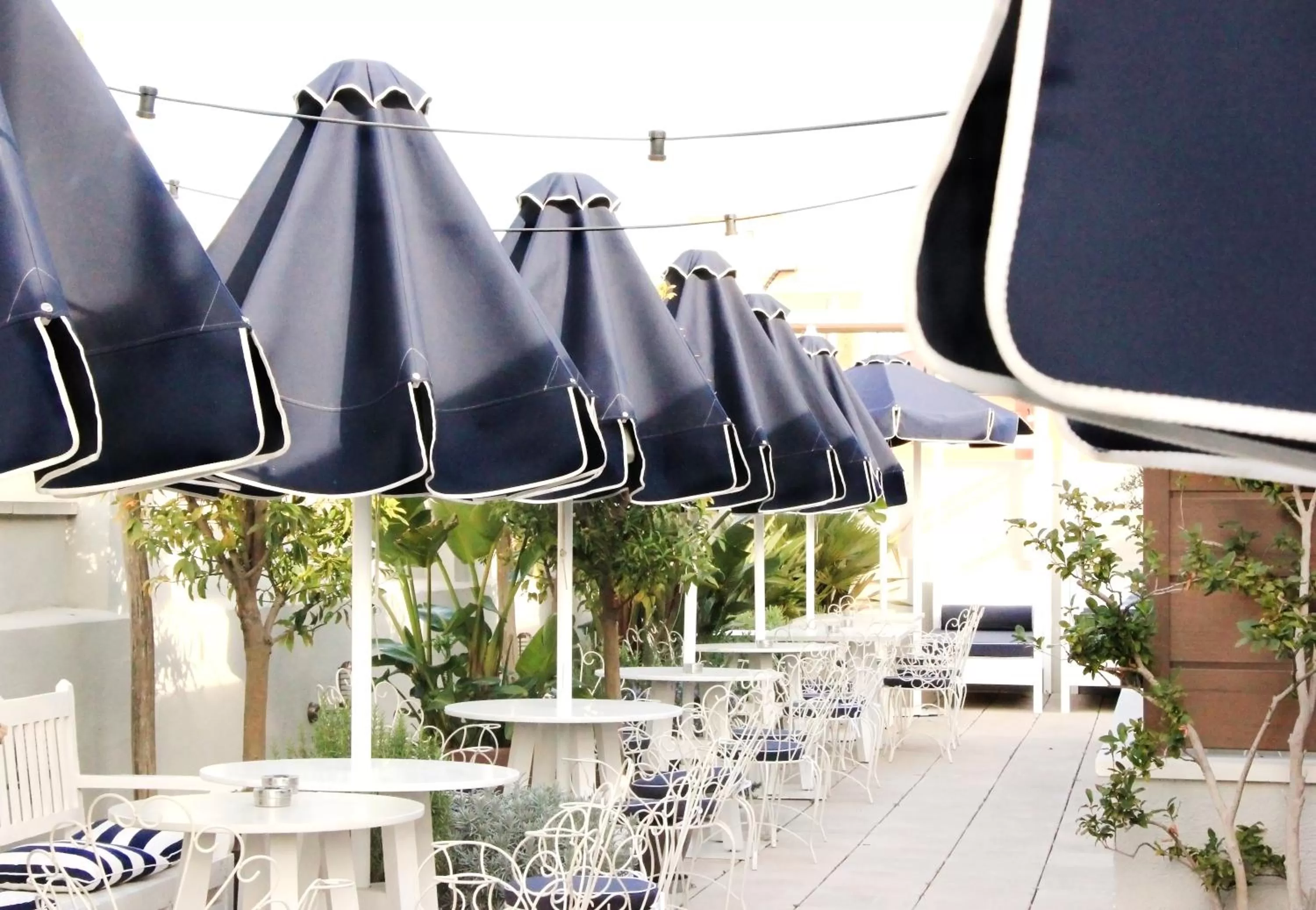 Balcony/Terrace in Hotel Midmost by Majestic Hotel Group