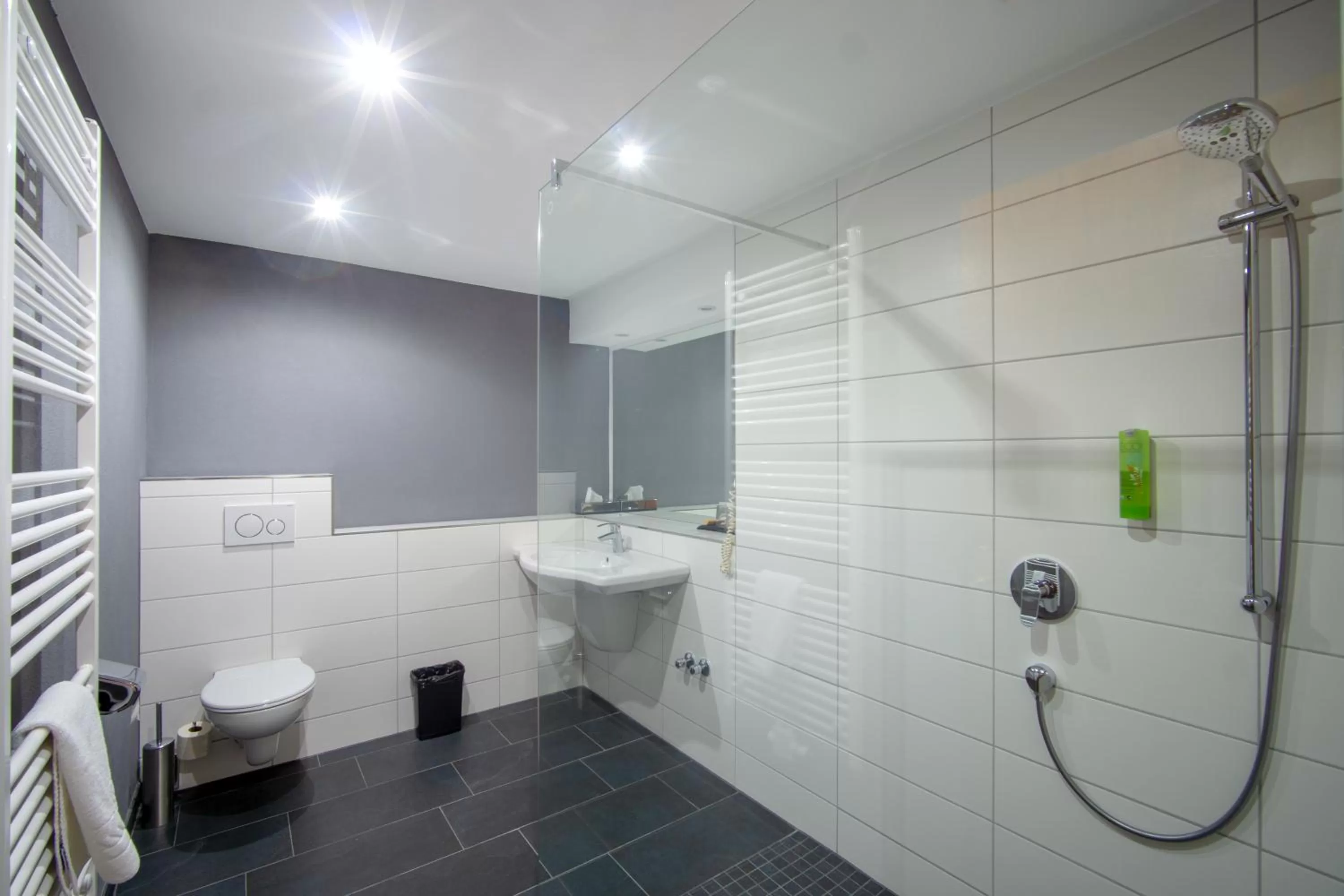 Bathroom in SL'otel im Parforcehaus