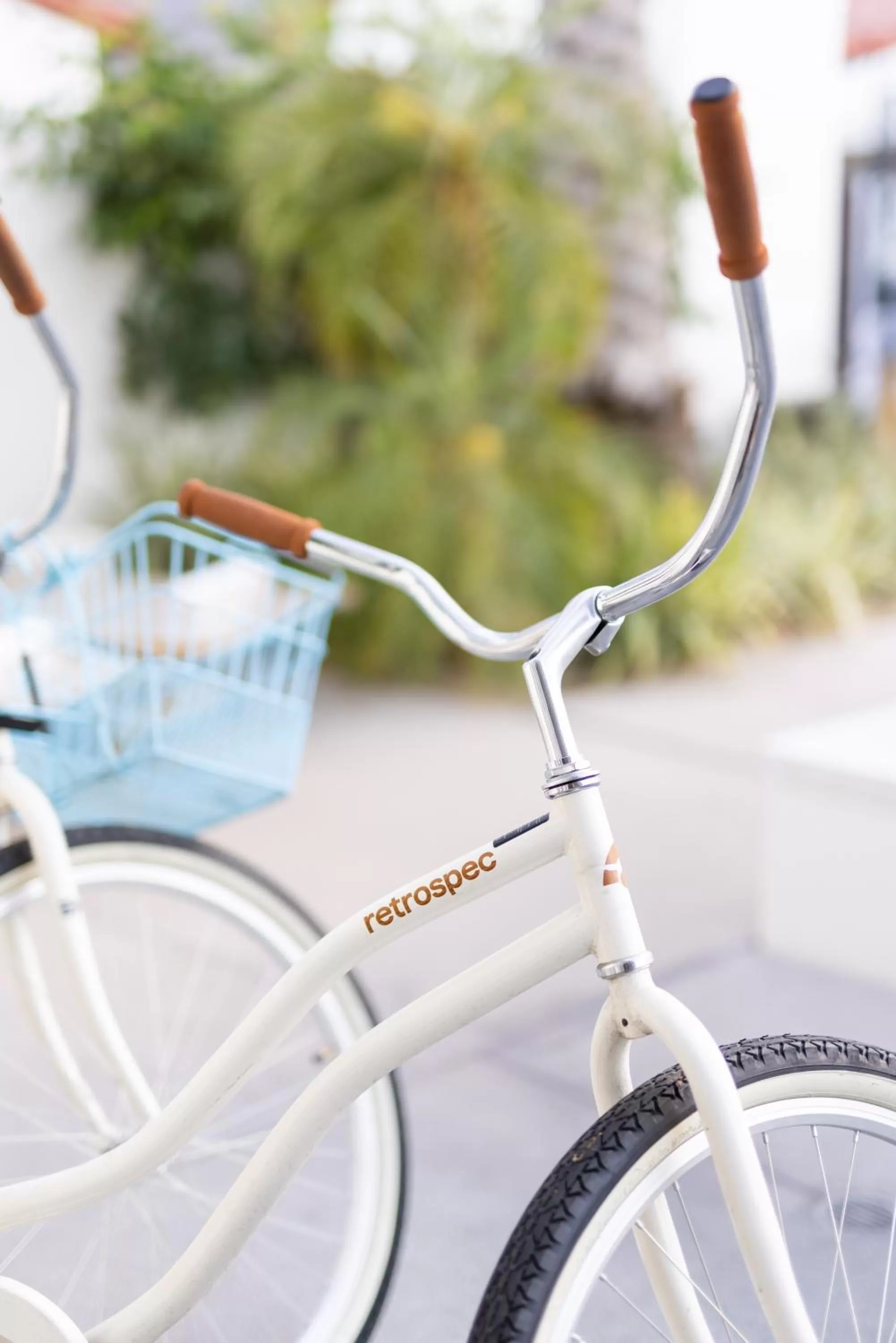 Activities in La Serena Villas