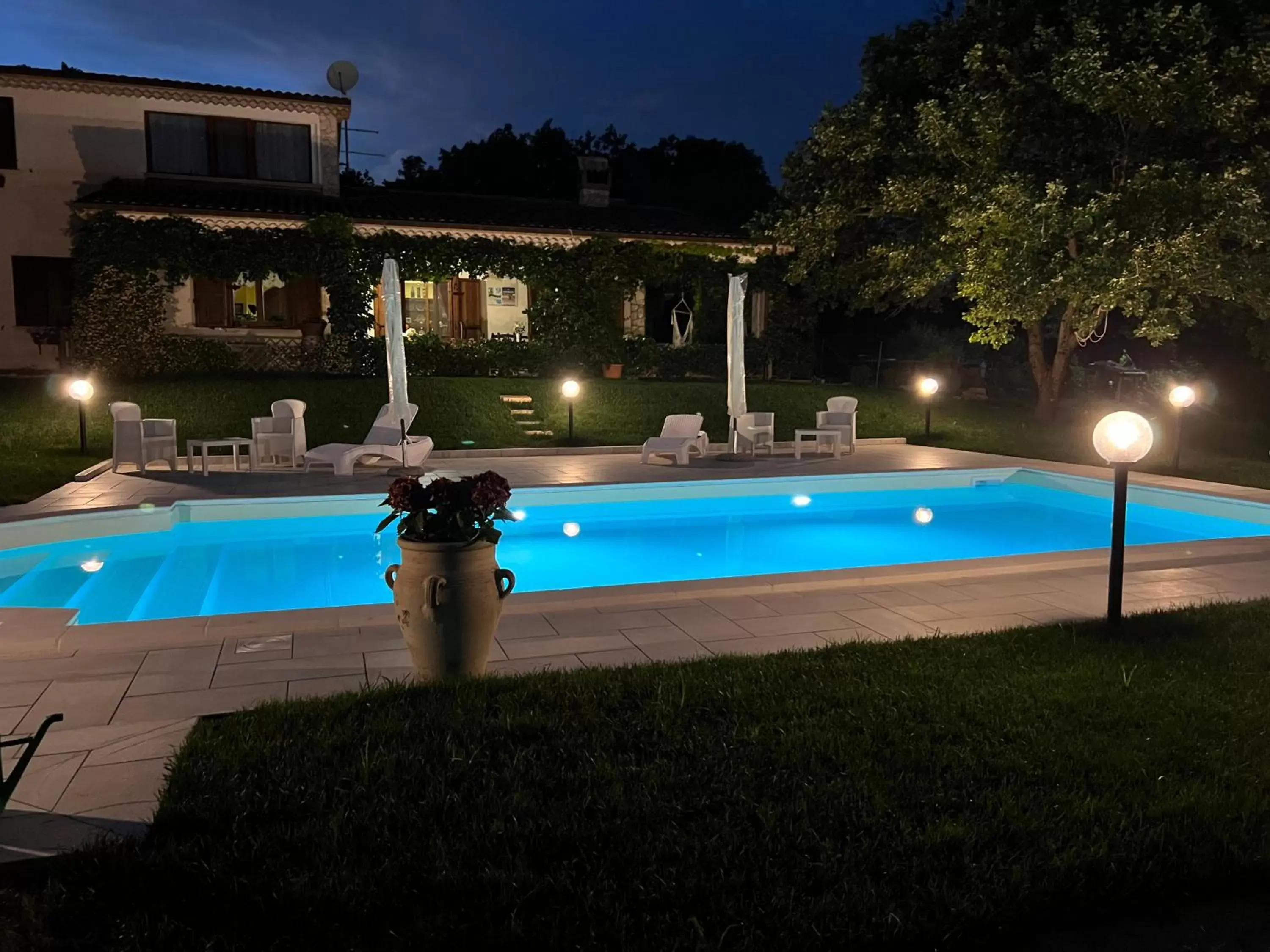 Swimming Pool in The Forest House