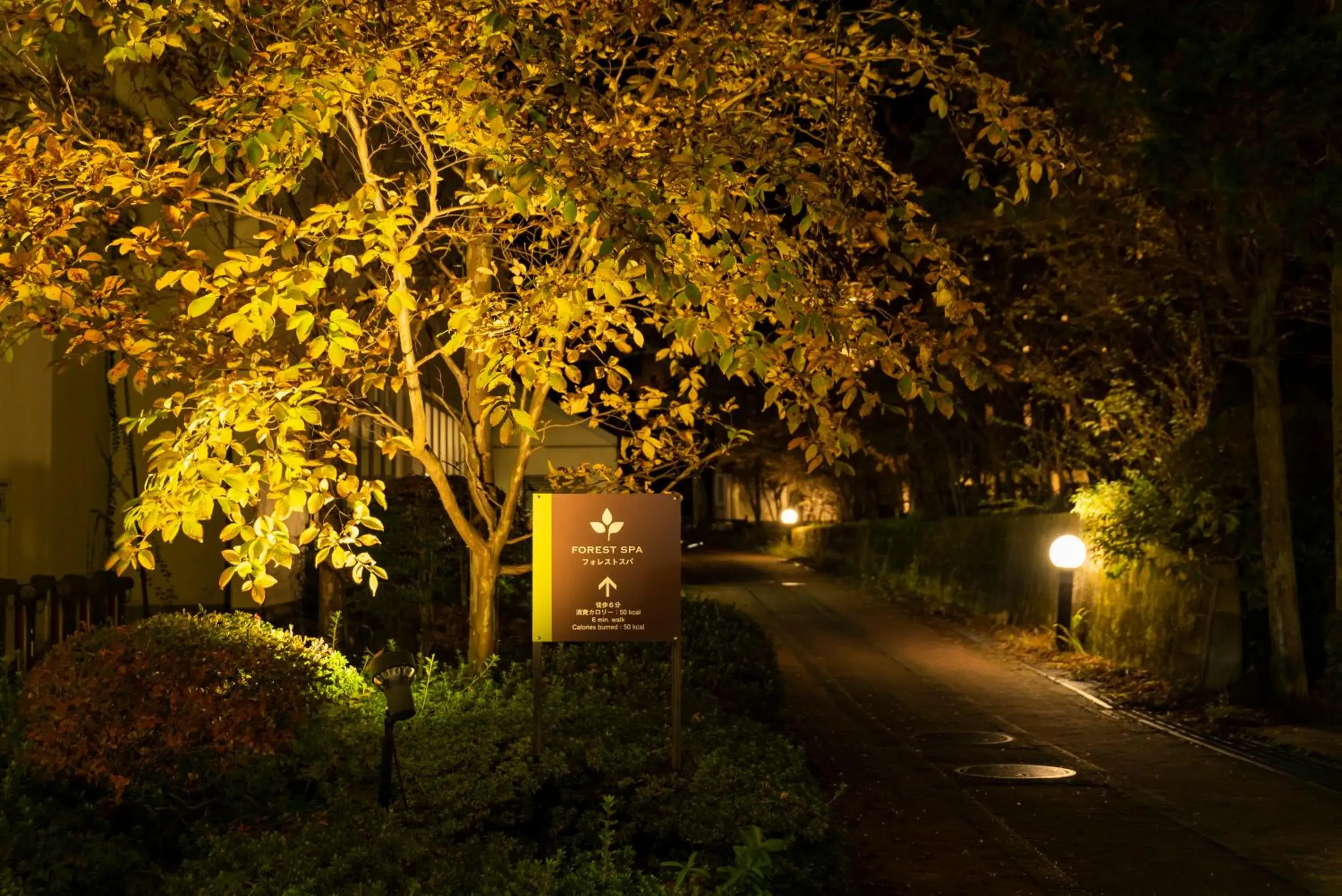 Night, Property Building in Fuji Premium Resort