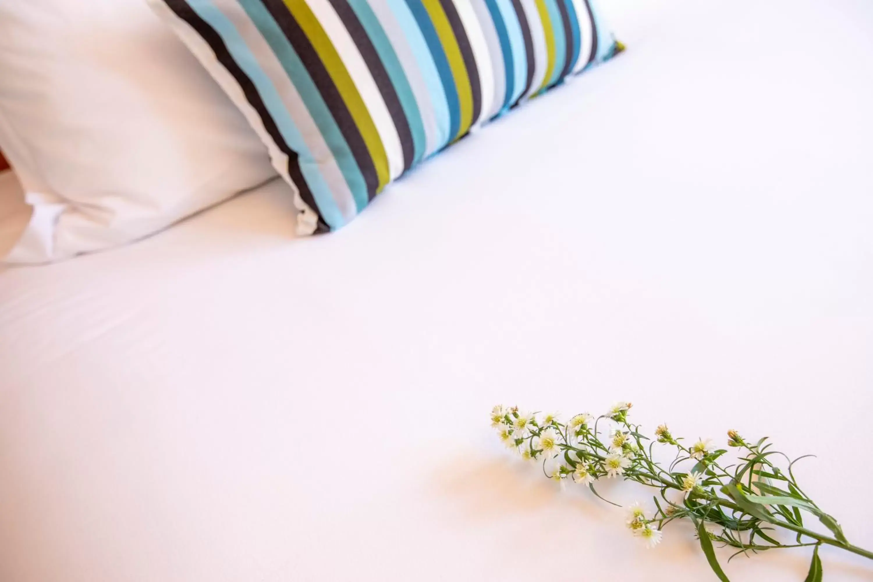 Other, Bed in 1906 Mission Other, Bed in 1906 Mission