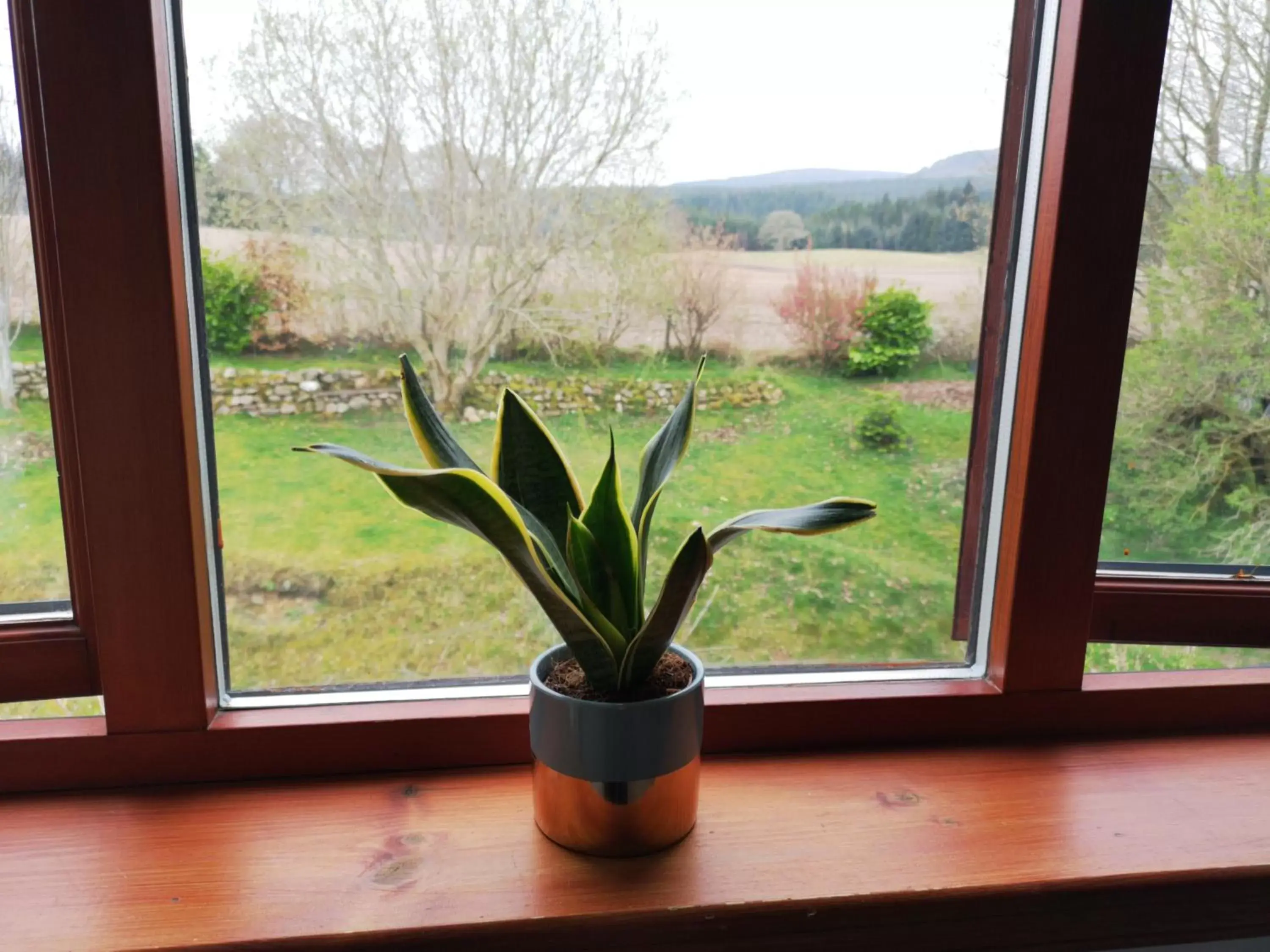 View (from property/room) in Beechwood Lodge