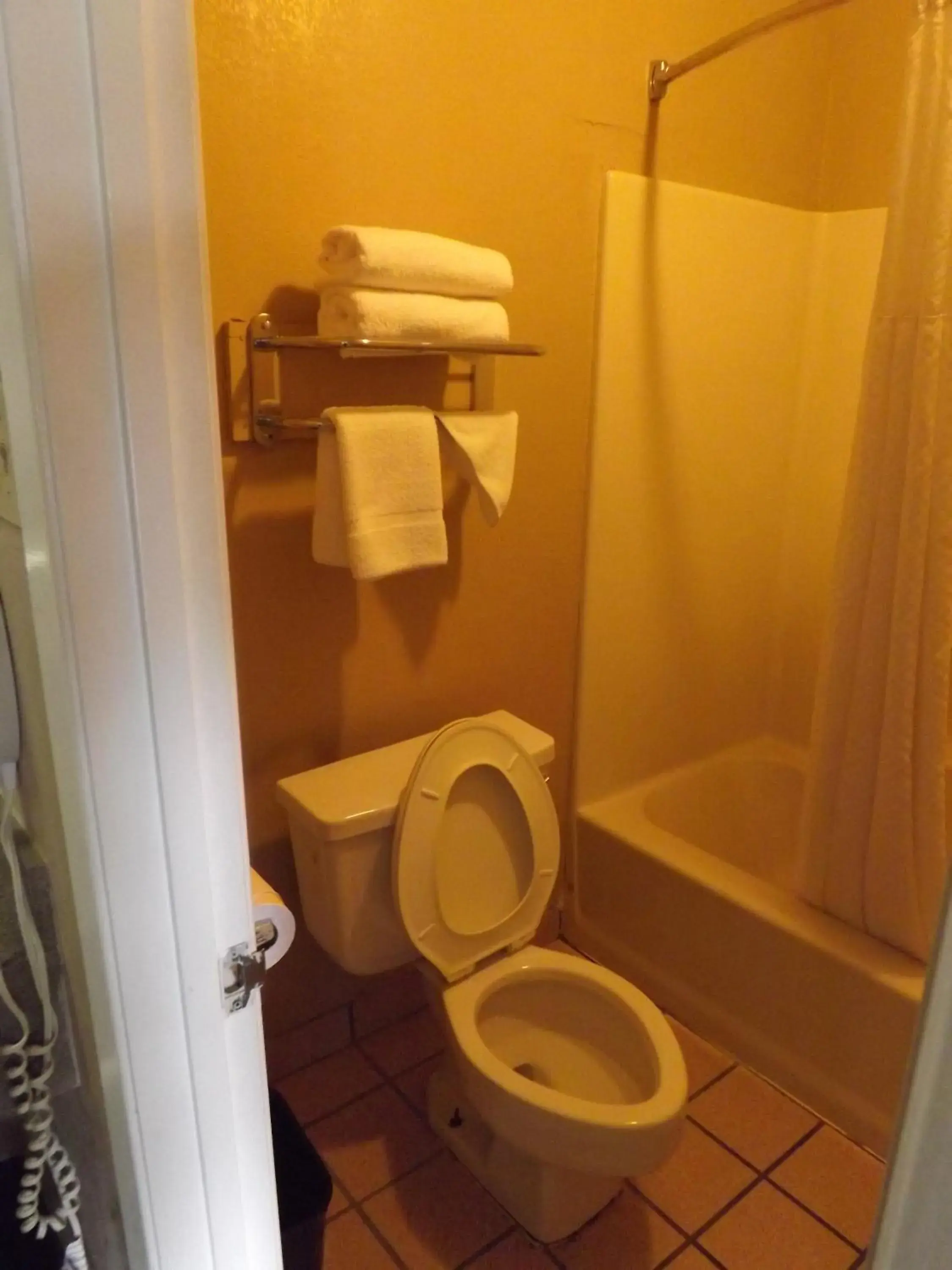 Toilet, Bathroom in Executive Inn Kilgore