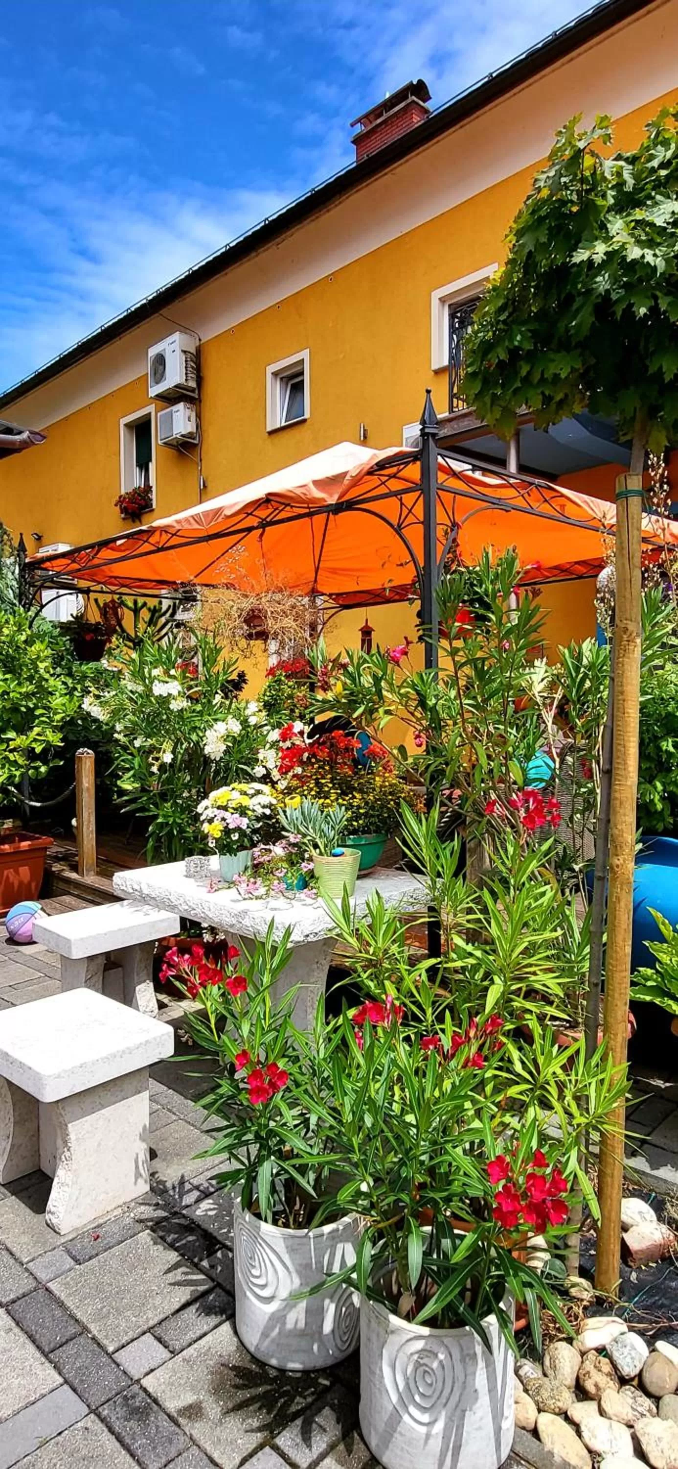 Garden in Hostel Sonce