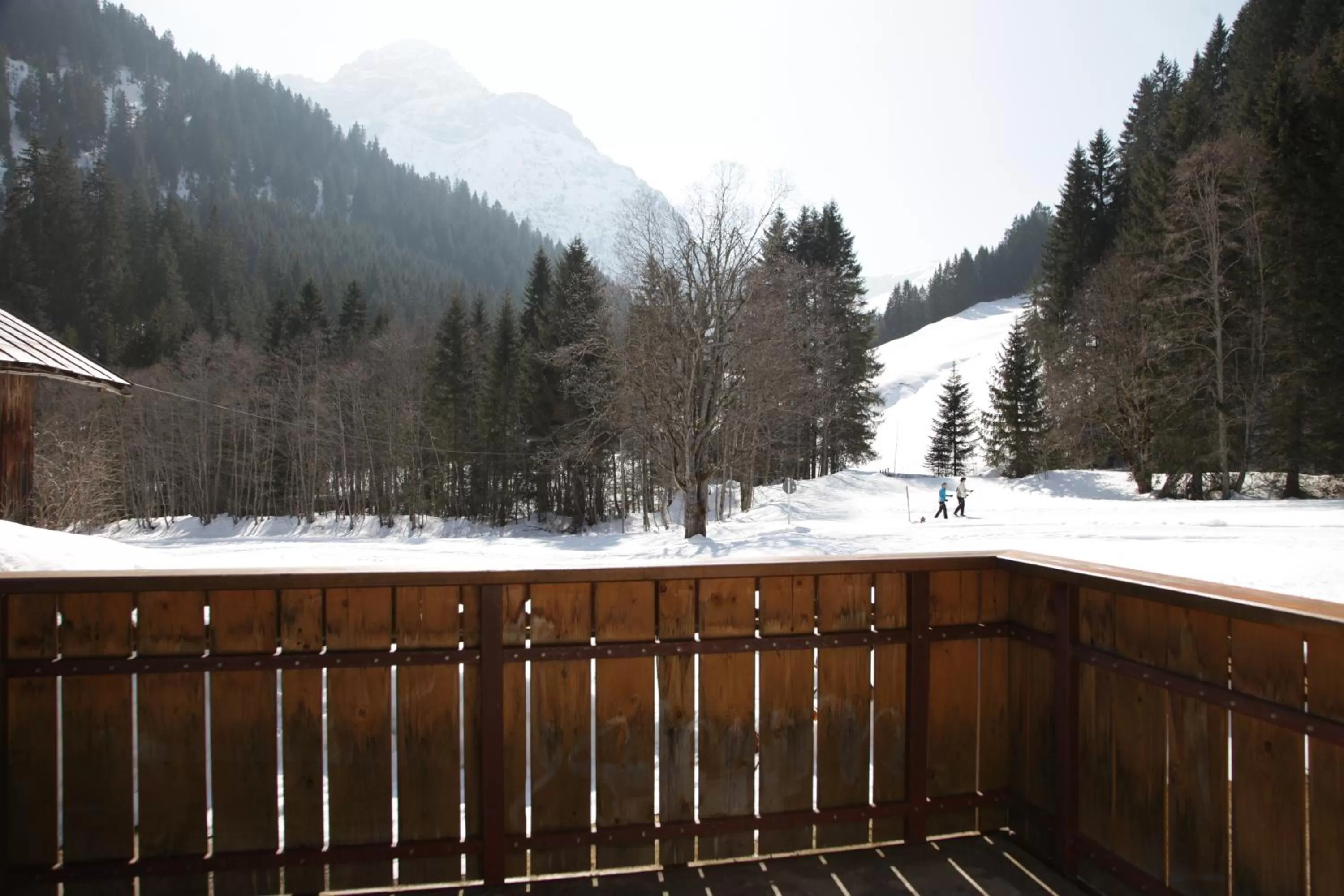 Natural landscape in Haus Derra