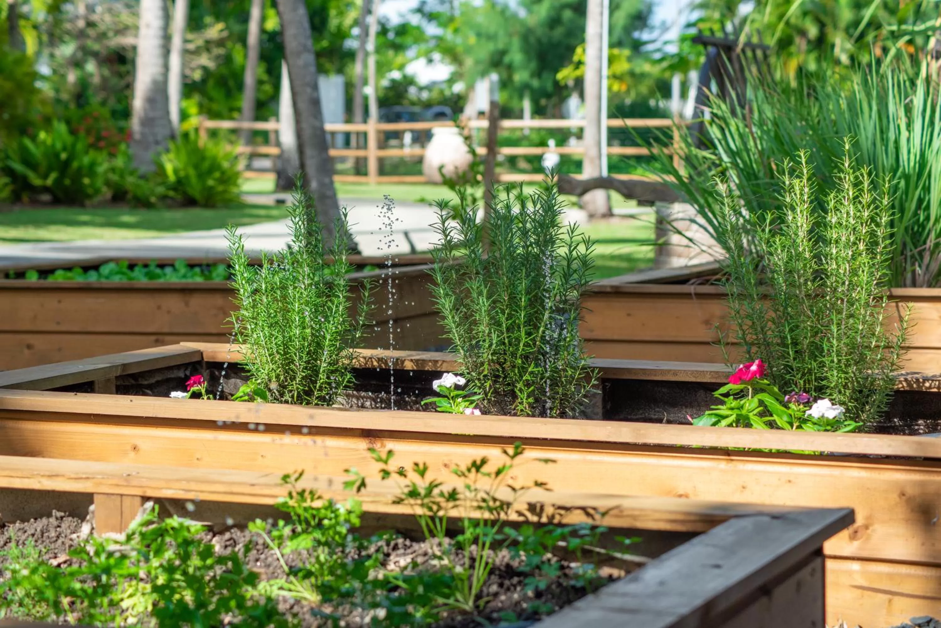 Garden in Le Relais du Moulin - Hôtel de Charme & Spa Adult Only