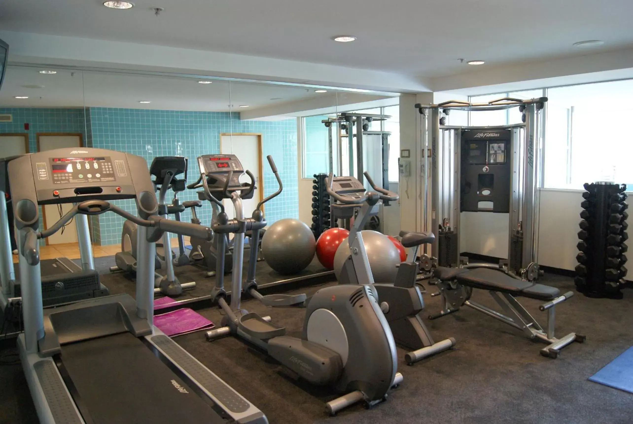 Fitness centre/facilities, Fitness Center/Facilities in Novotel Tainui Hamilton