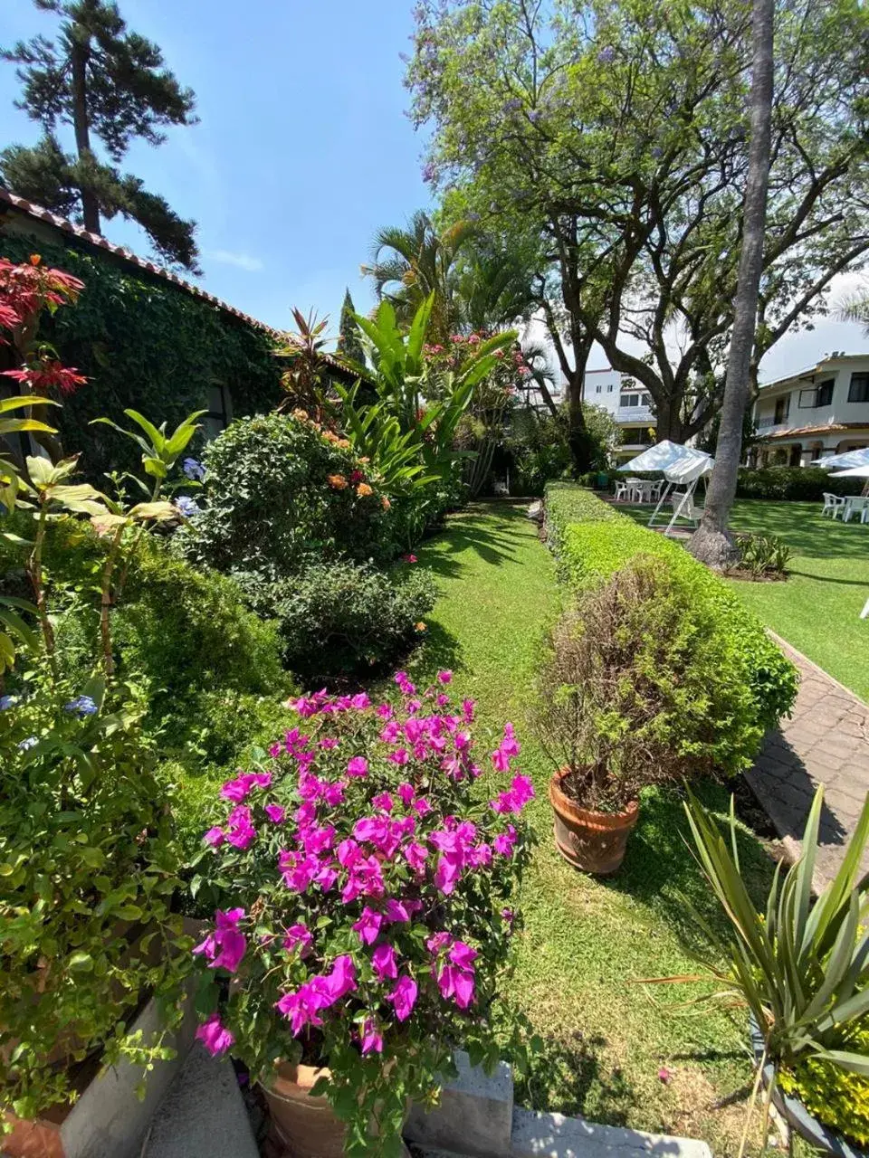 Garden in Hotel Posada Quinta Las Flores