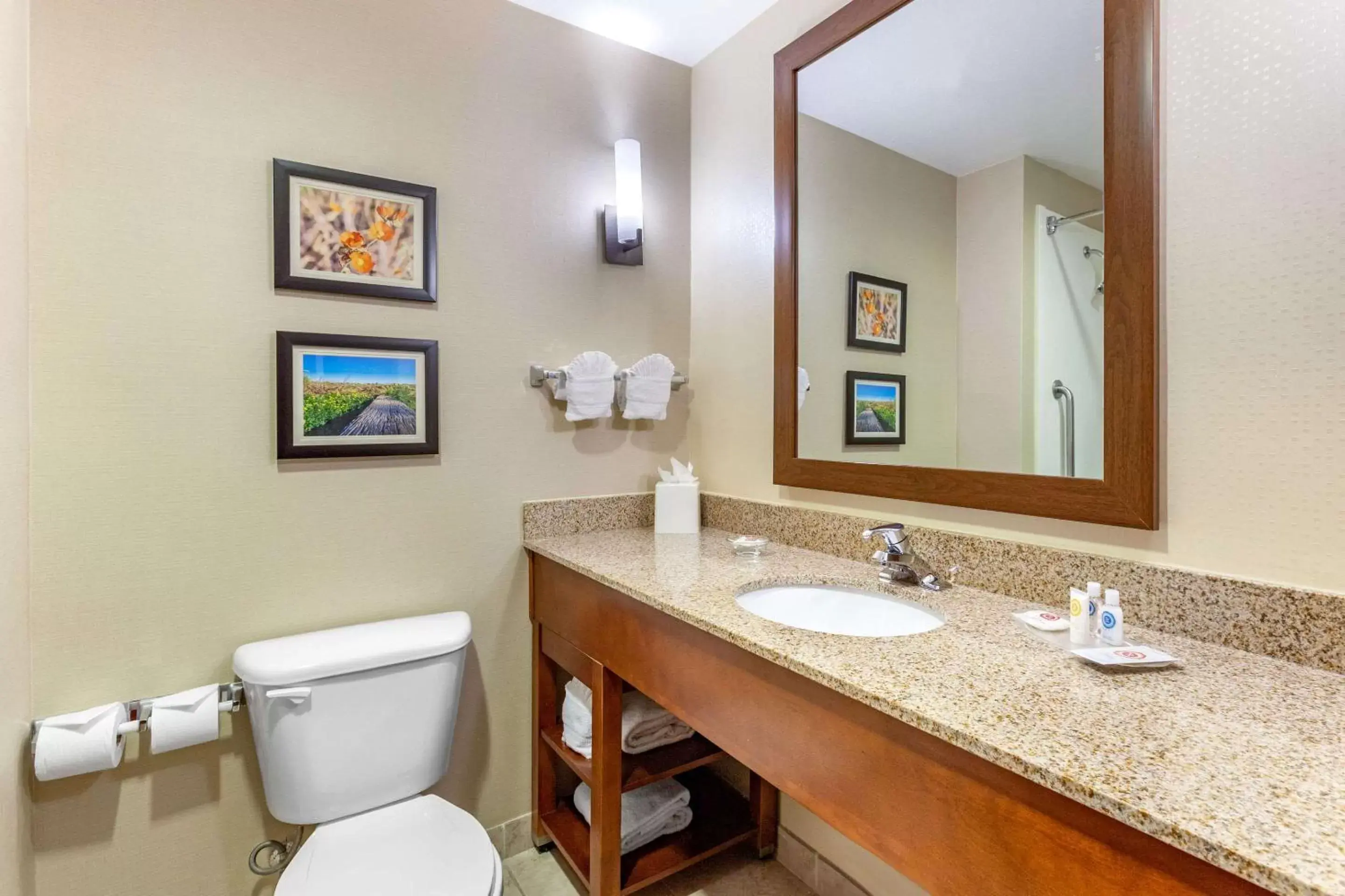 Photo of the whole room, Bathroom in Comfort Suites Glendale - State Farm Stadium Area