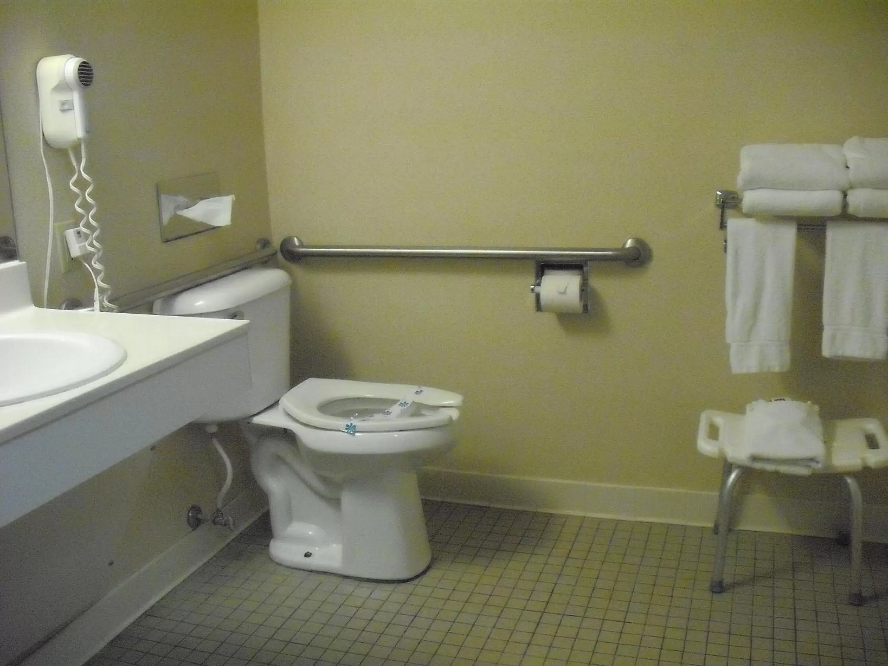 Toilet, Bathroom in Mountain Inn & Suites