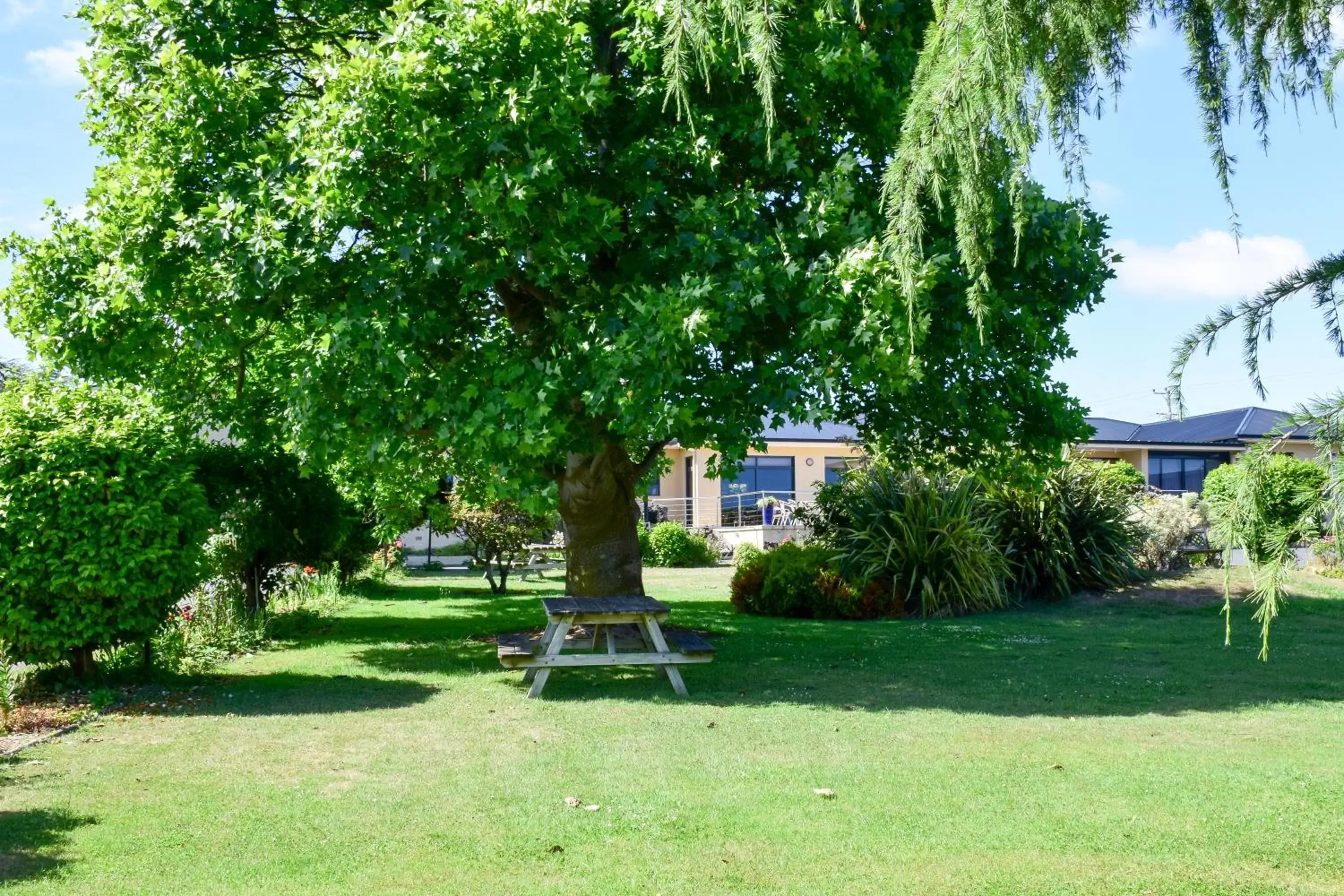 Garden in Beachway Motel