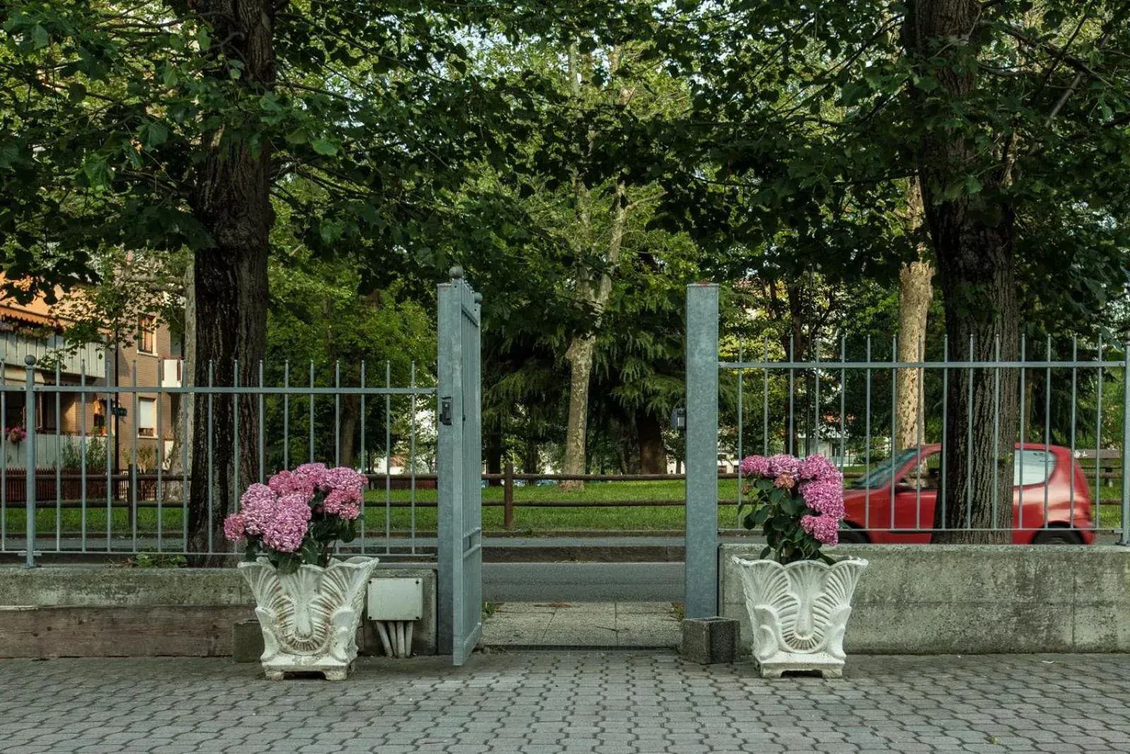 Garden in Hotel Davide