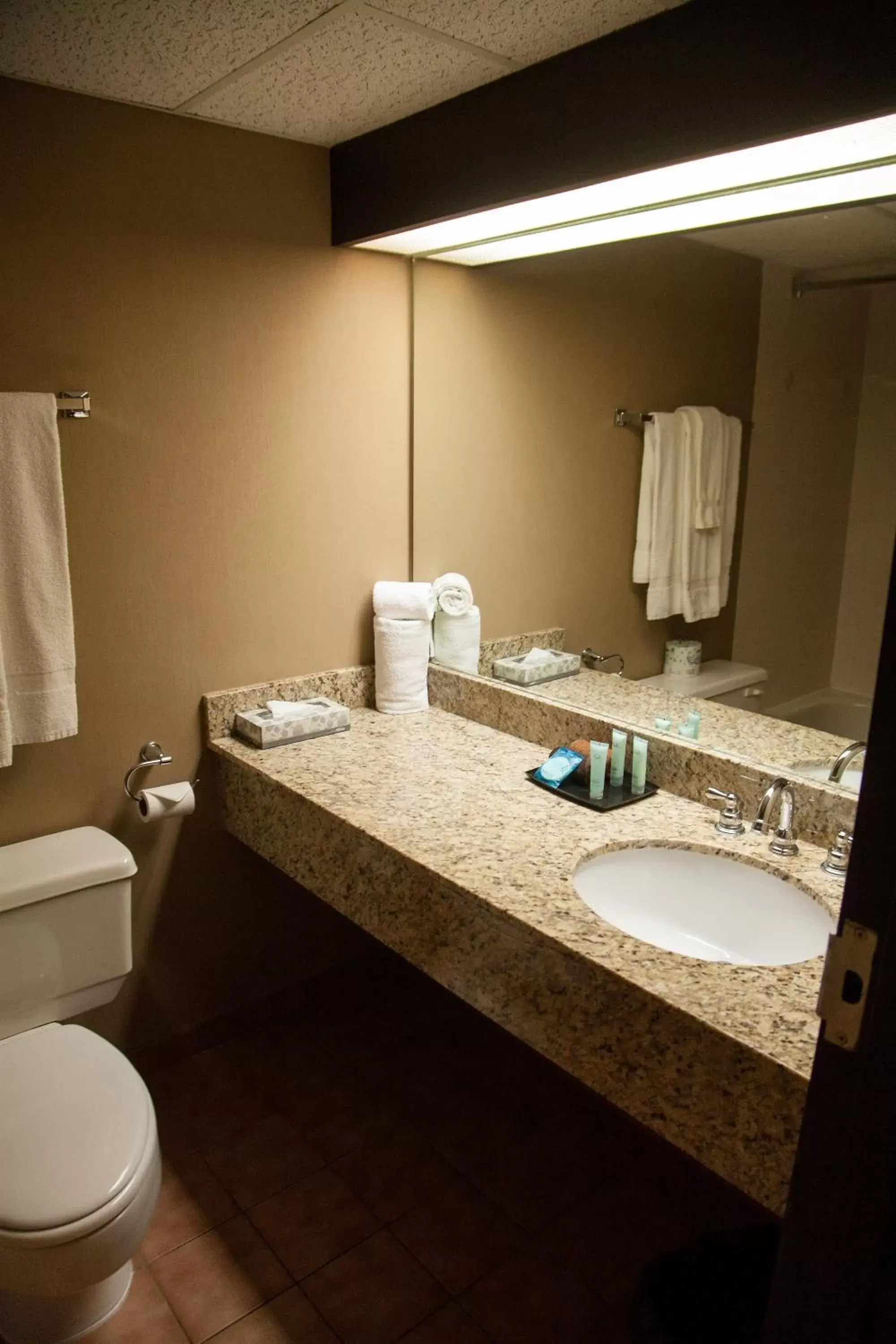 Bathroom in Medicine Hat Lodge, Trademark Collection by Wyndham