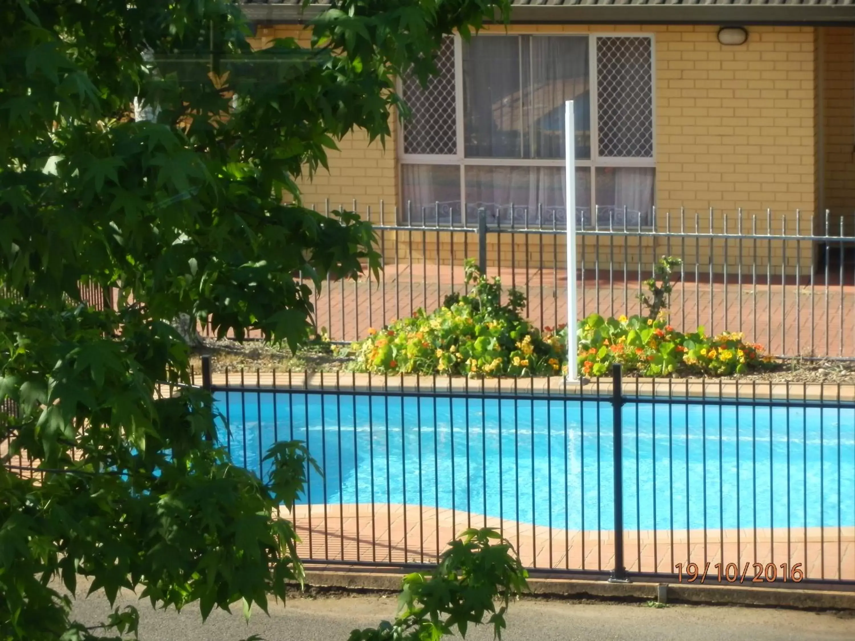 Swimming Pool in Flying Spur Motel