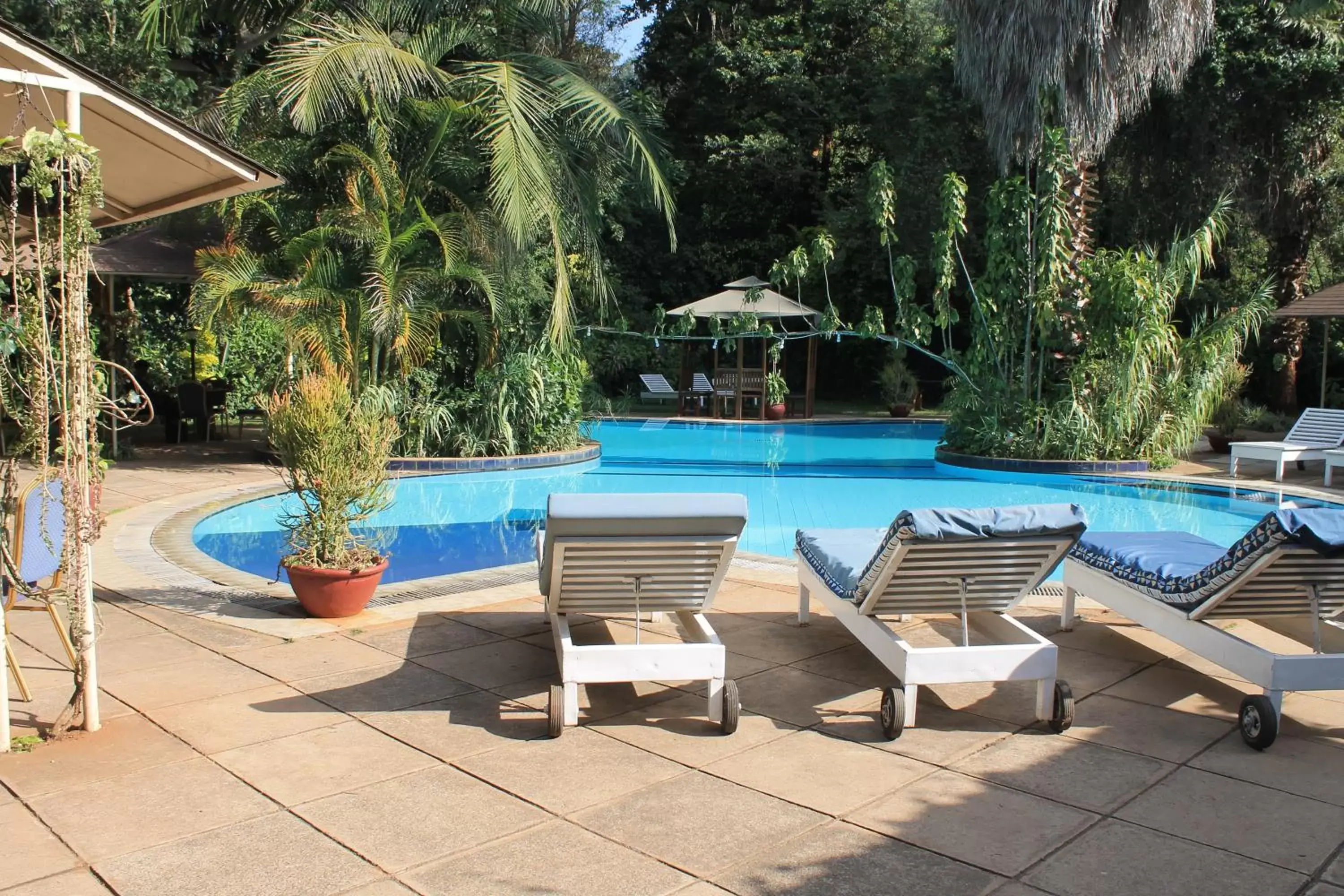 Swimming Pool in La Mada Hotel