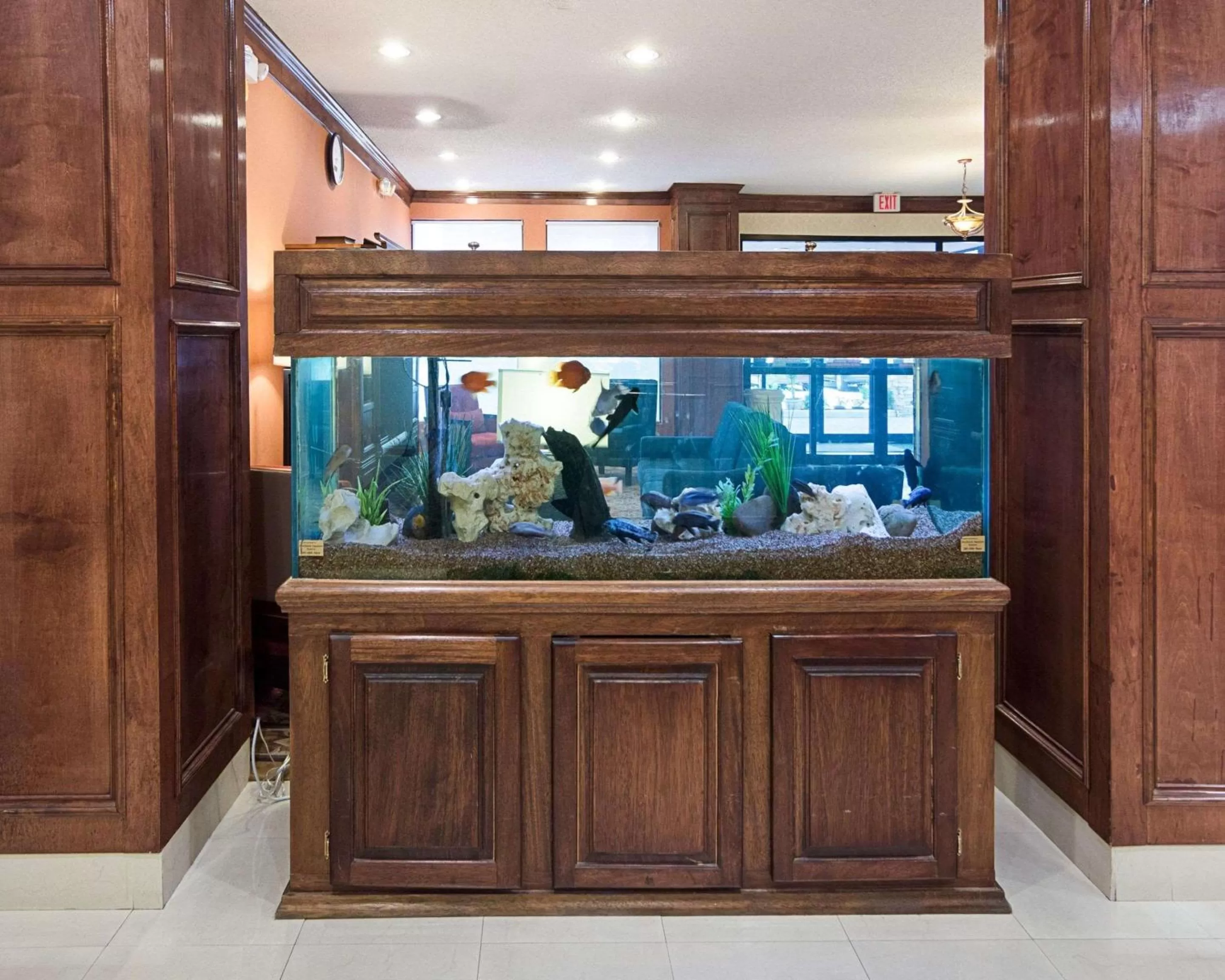 Lobby or reception in Comfort Inn & Suites Houston West-Katy