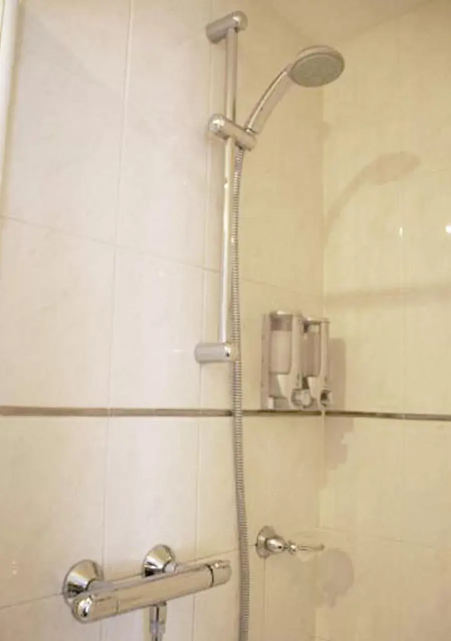 Shower, Bathroom in De Gouden Molen