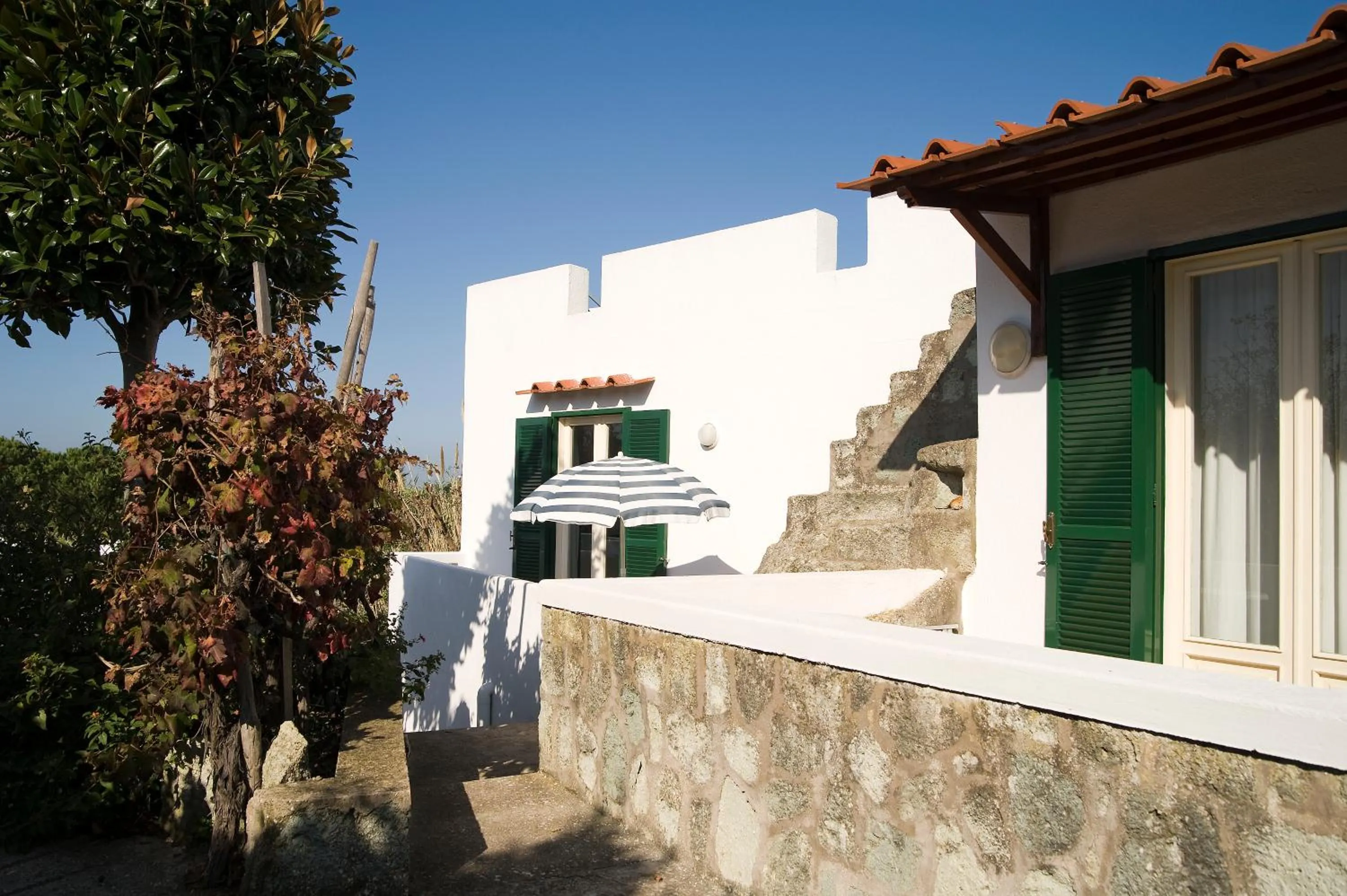Facade/entrance in Park Hotel Terme Mediterraneo