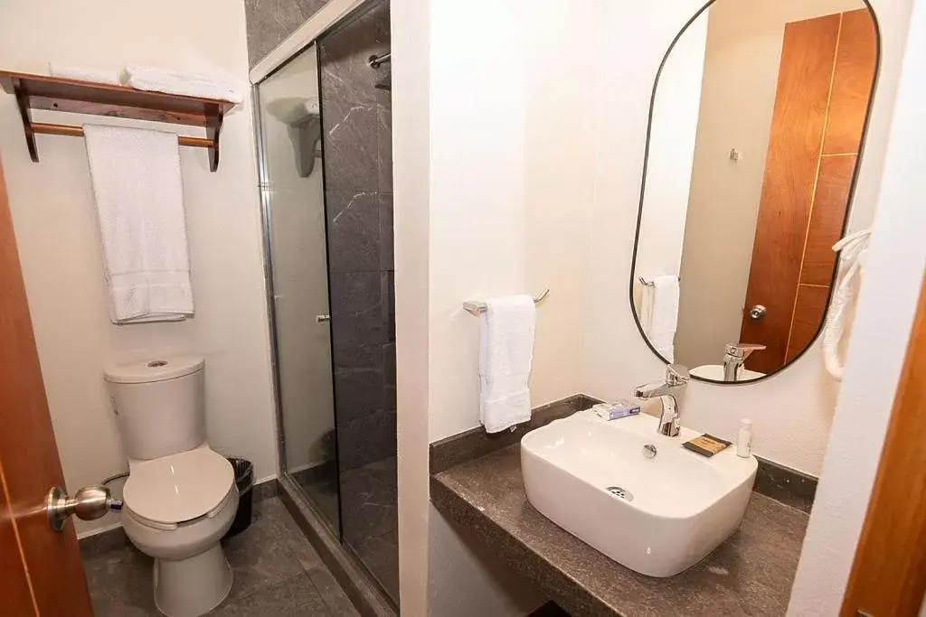 Bathroom in Hotel Danini