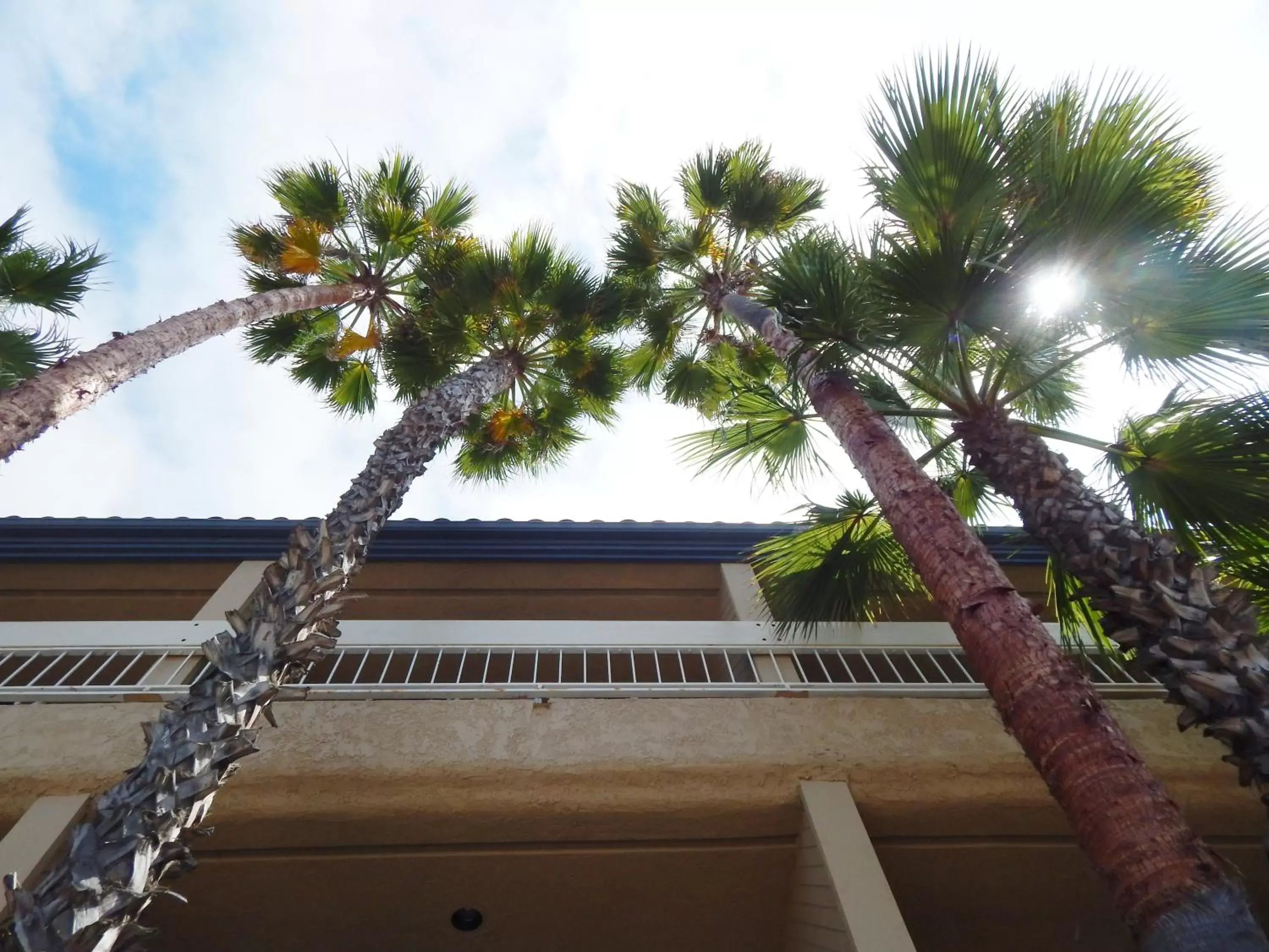 Day, Balcony/Terrace in The Pacific Inn