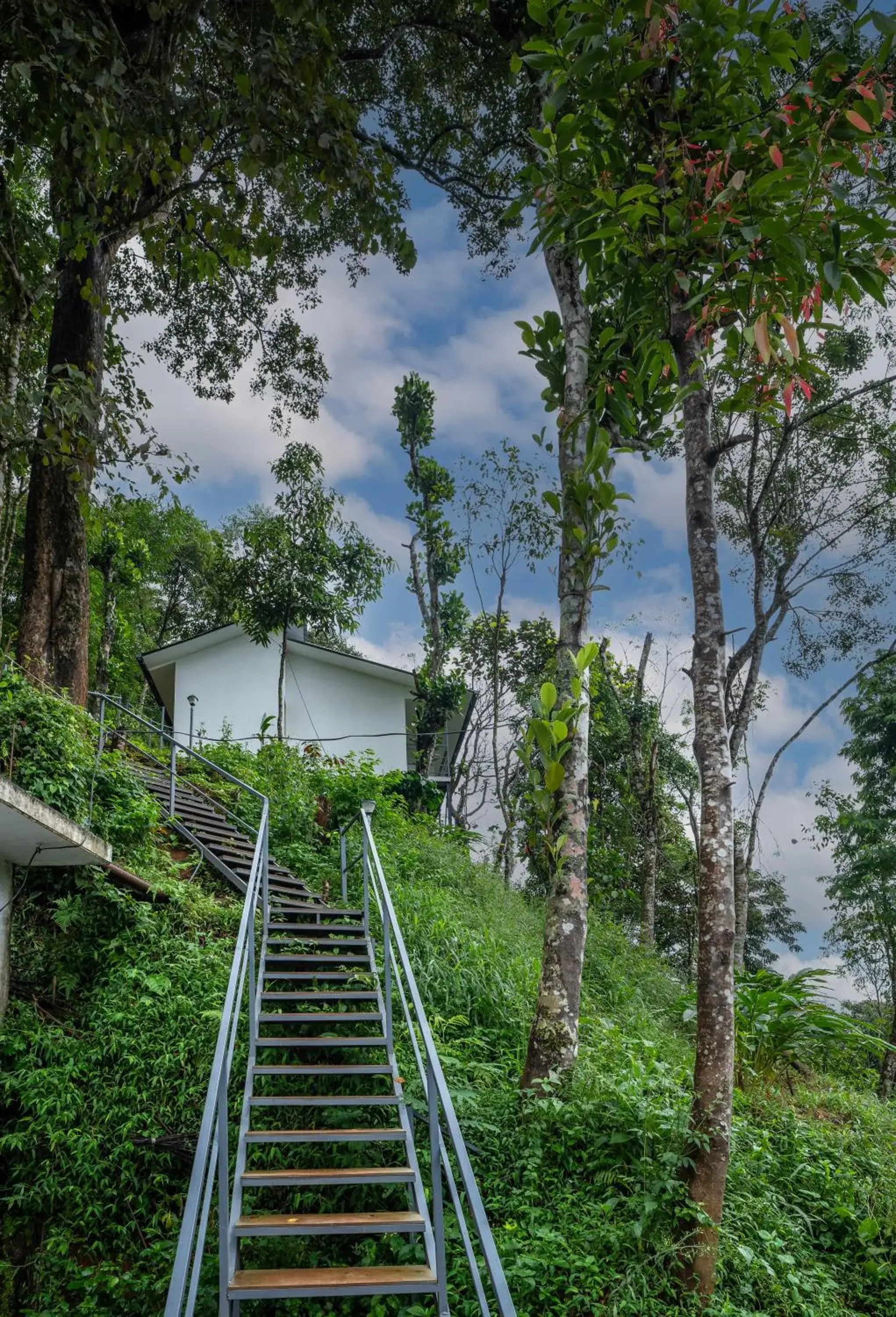 Facade/entrance, Property Building in Wild Poetry