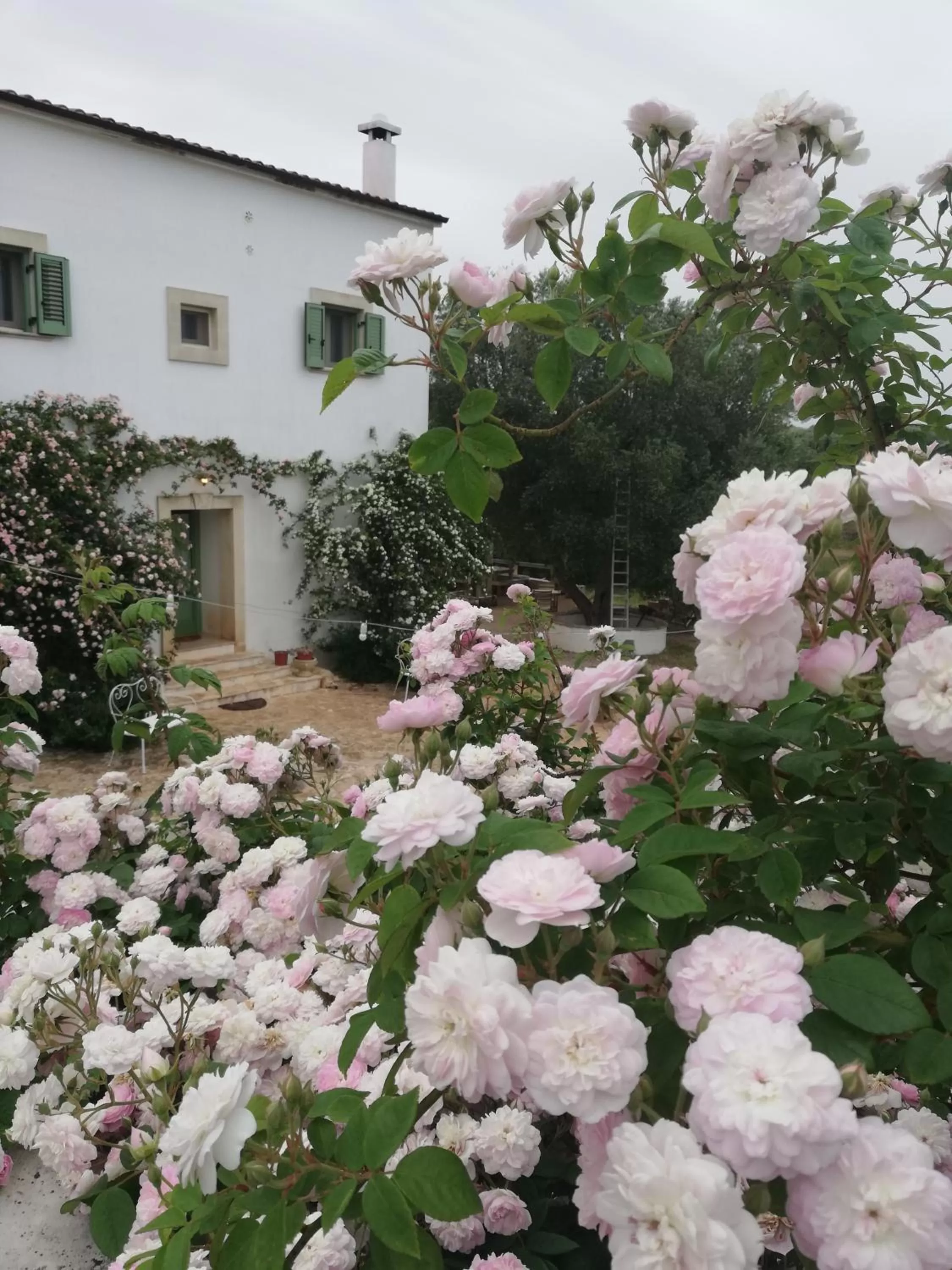 Garden, Property Building in B&B Giovannarolla Green House