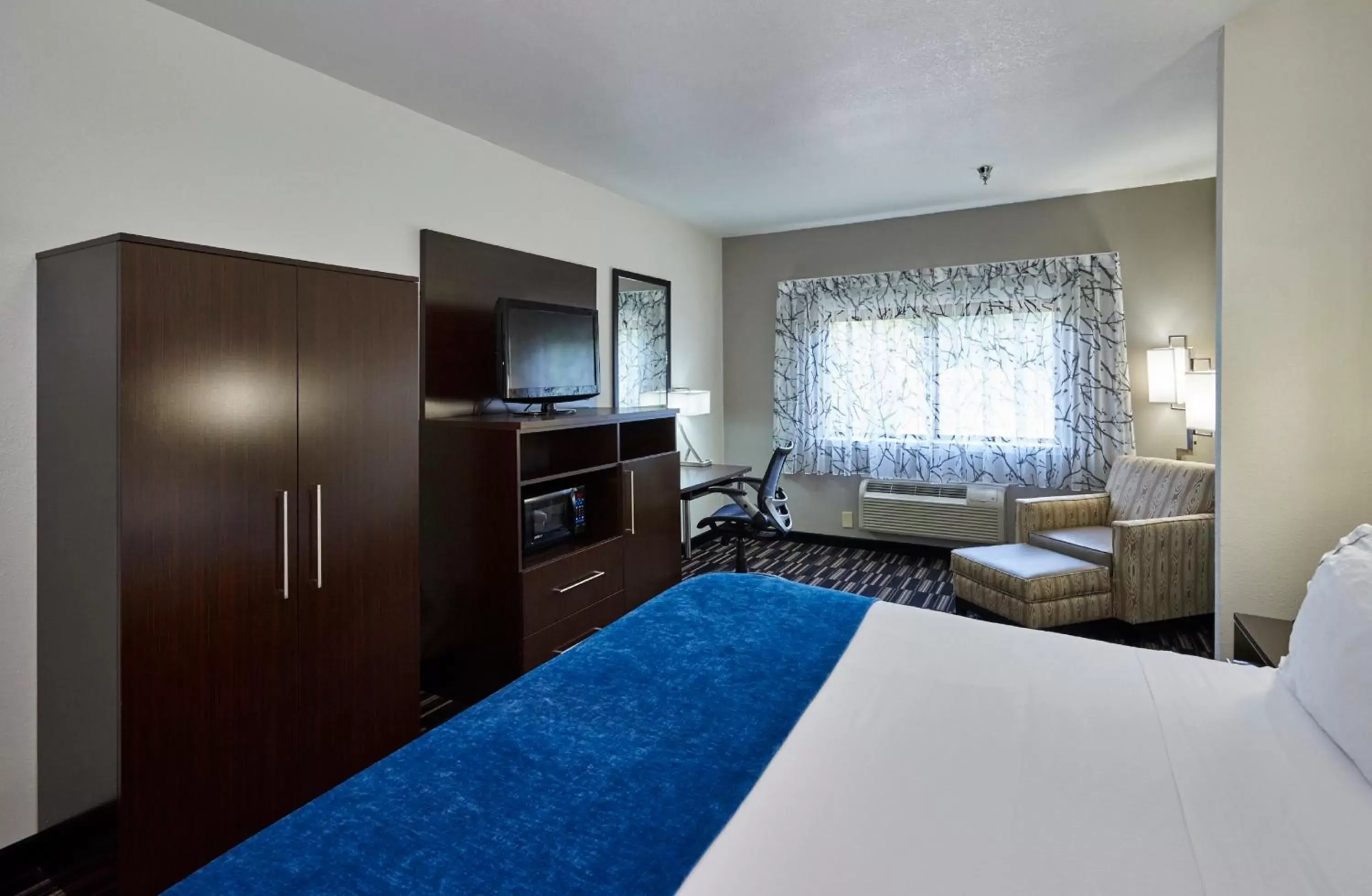 Photo of the whole room, TV/Entertainment Center in Holiday Inn Express & Suites Birmingham South - Pelham, an IHG Hotel