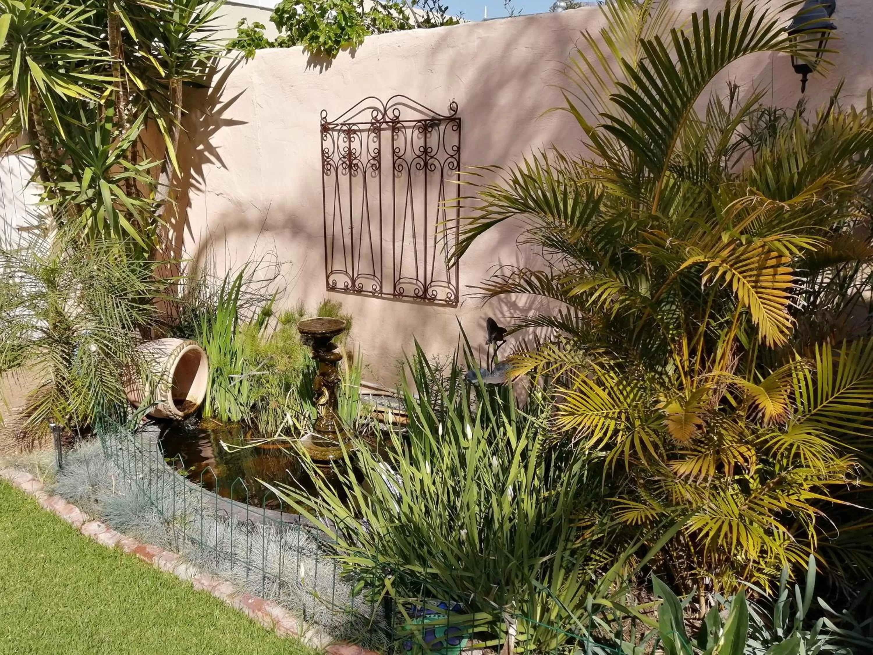 Garden in Squirrels Corner