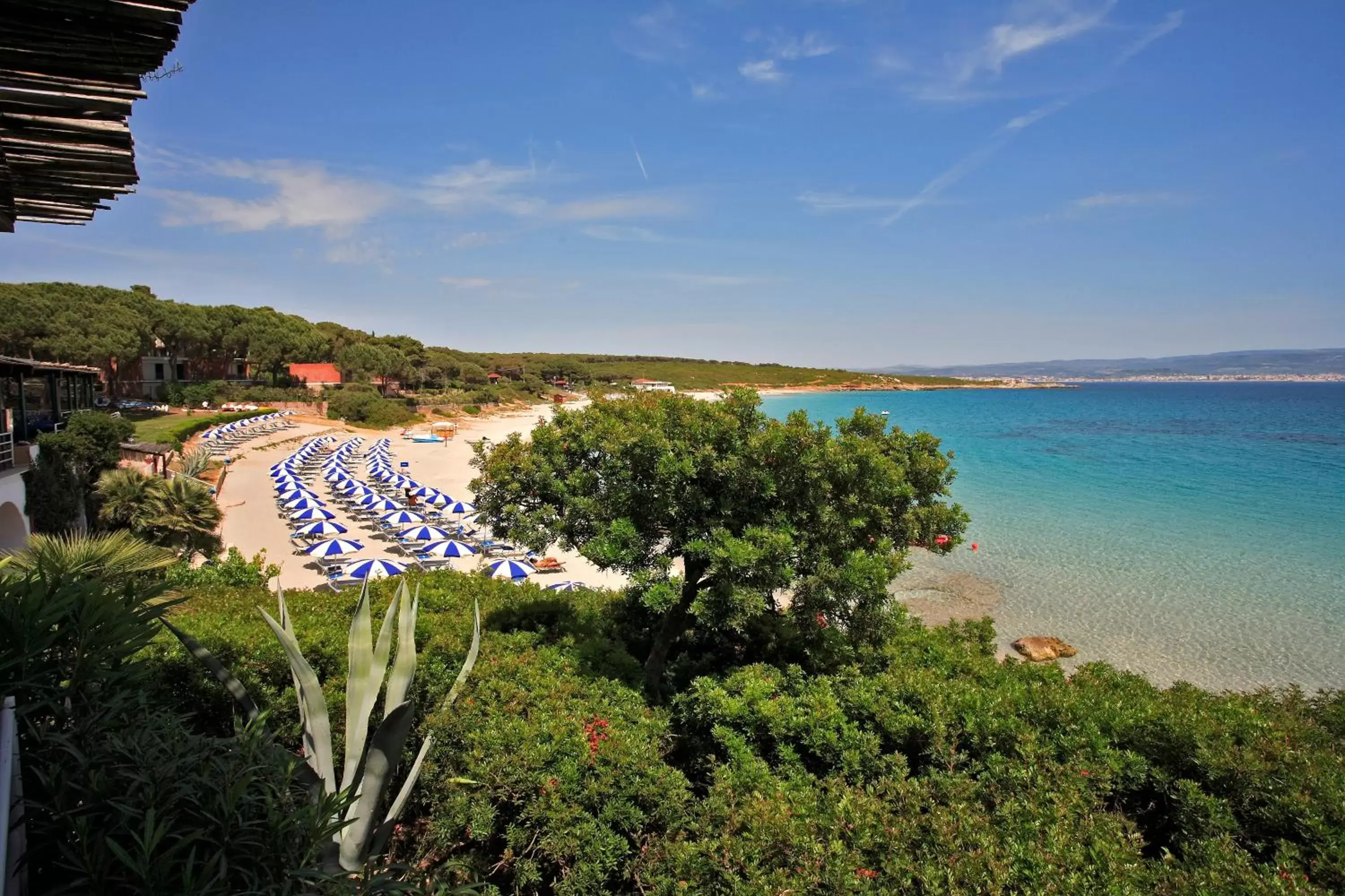 Beach, Bird's-eye View in Hotel Dei Pini