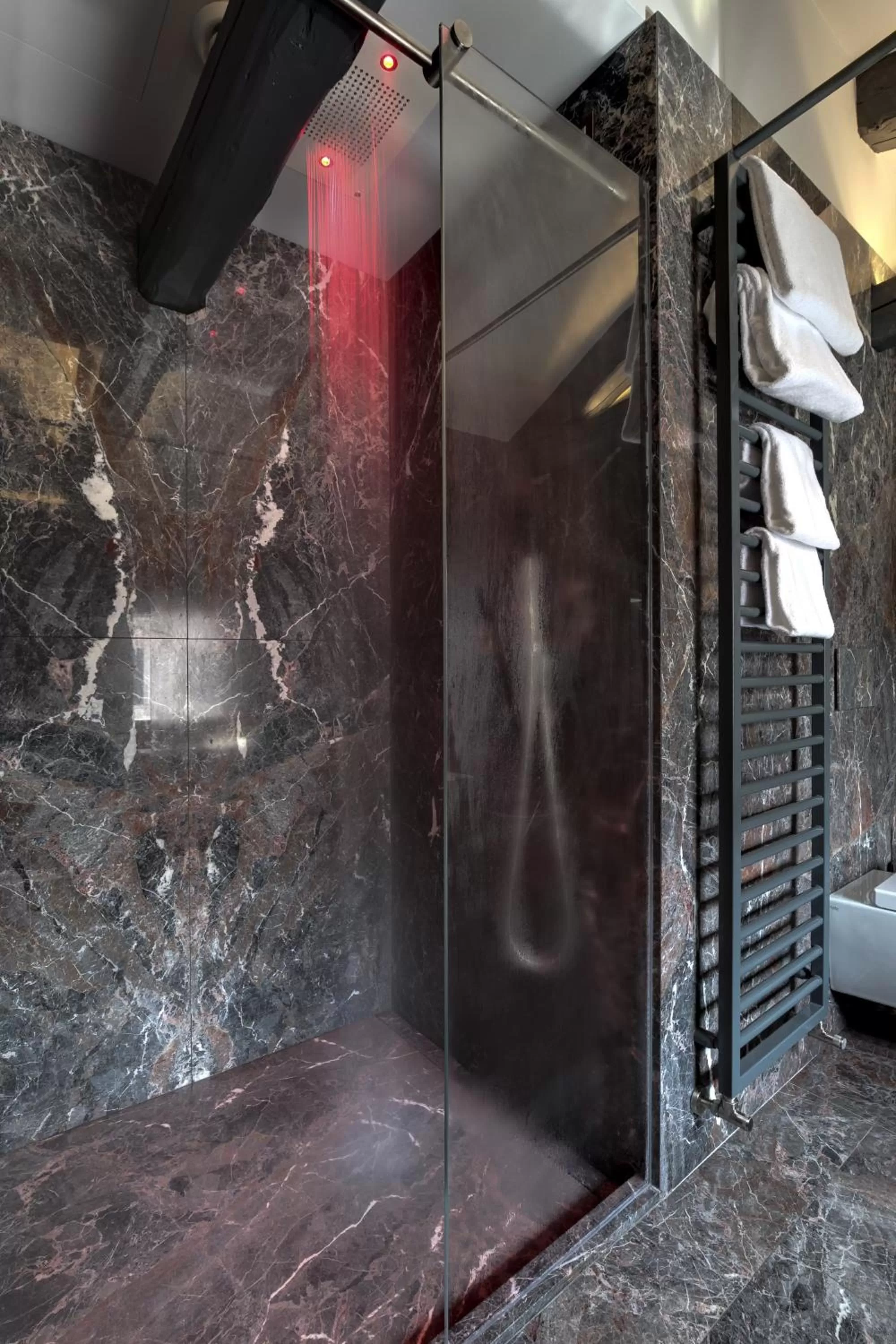 Shower in Hotel Donà Palace