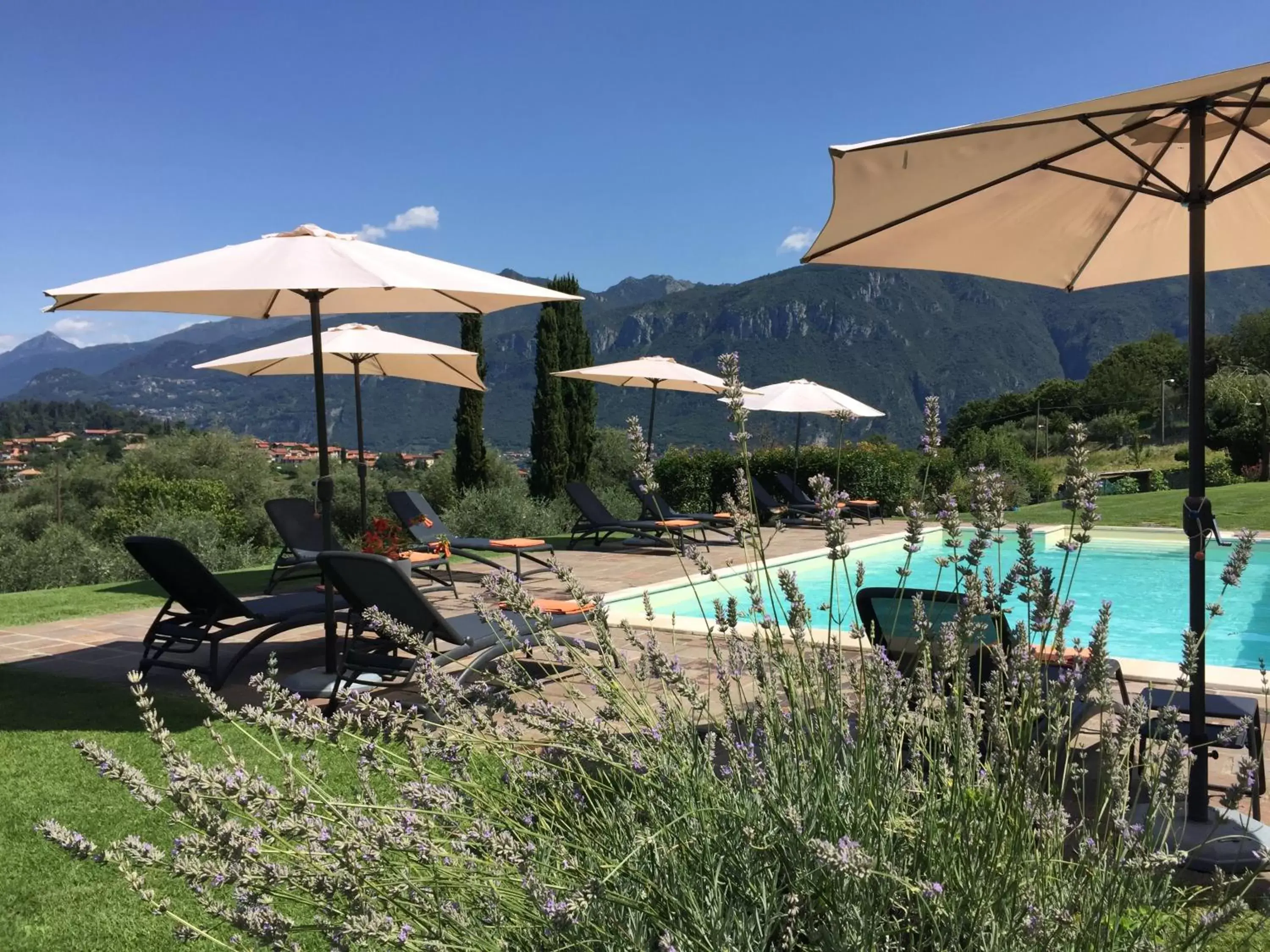 Summer, Swimming Pool in Il Poggio Di Bellagio