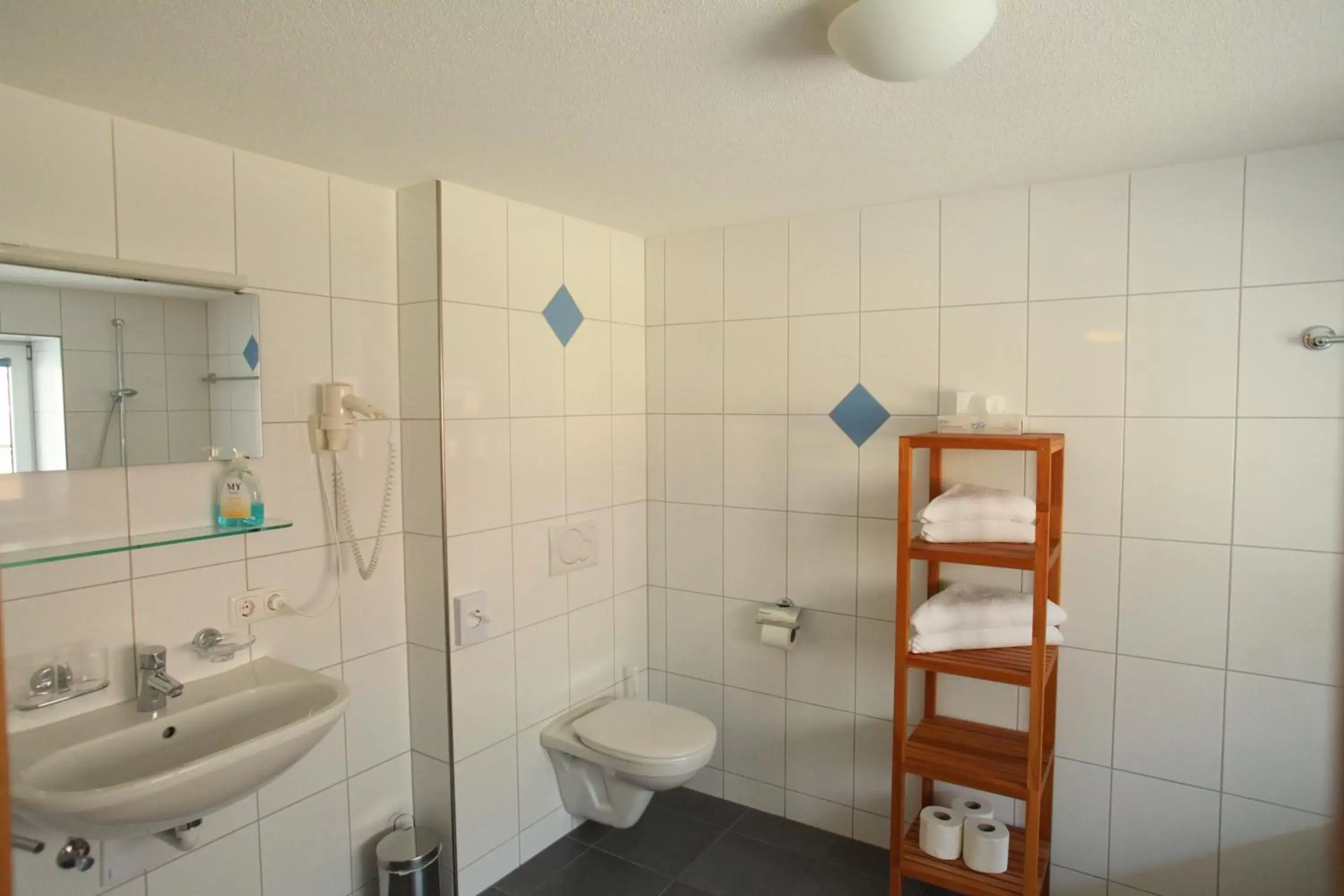 Toilet, Bathroom in Sonne Bezau - Familotel Bregenzerwald