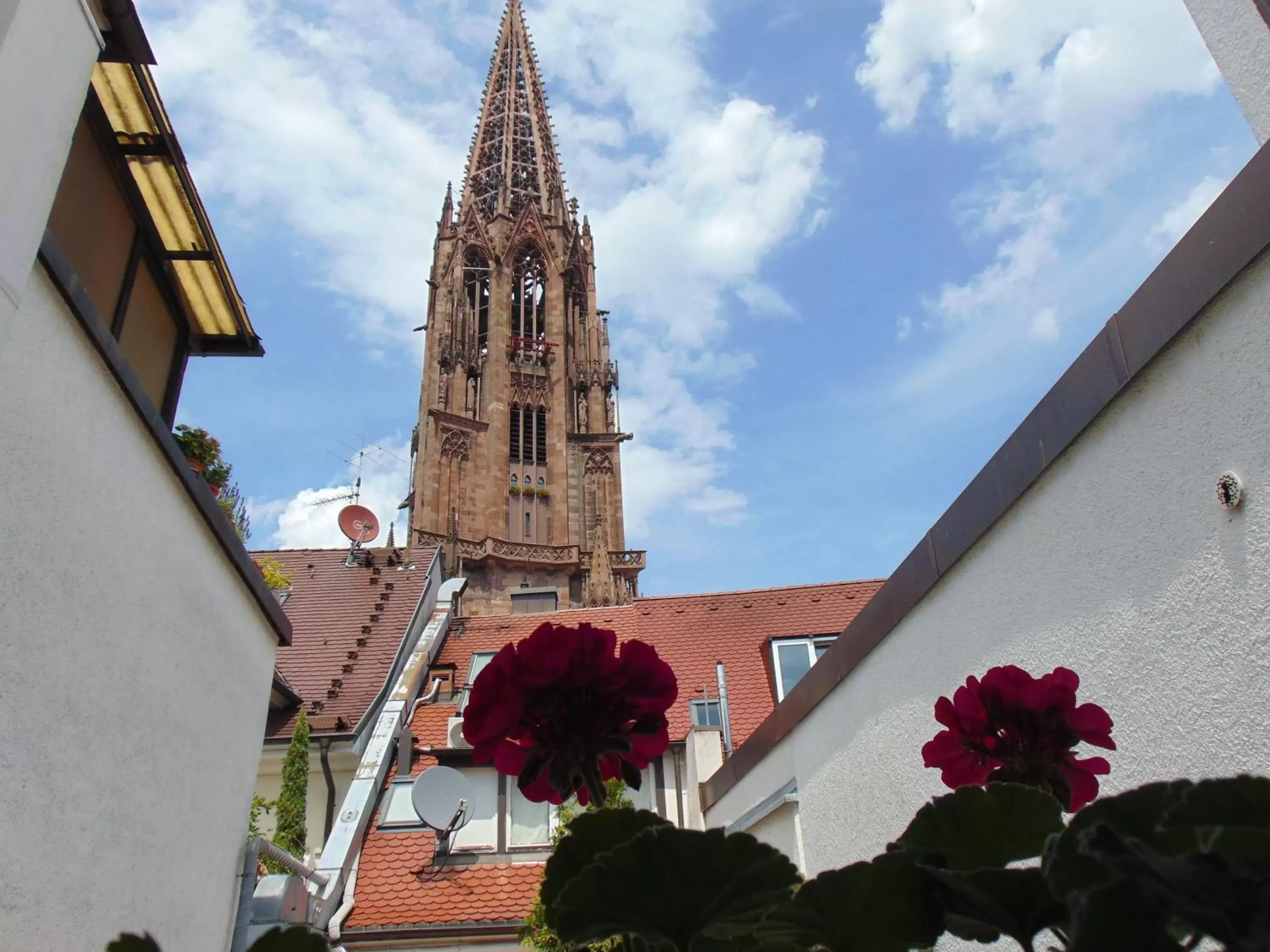 Nearby landmark in Boutiquehotel Oberkirch im Zentrum