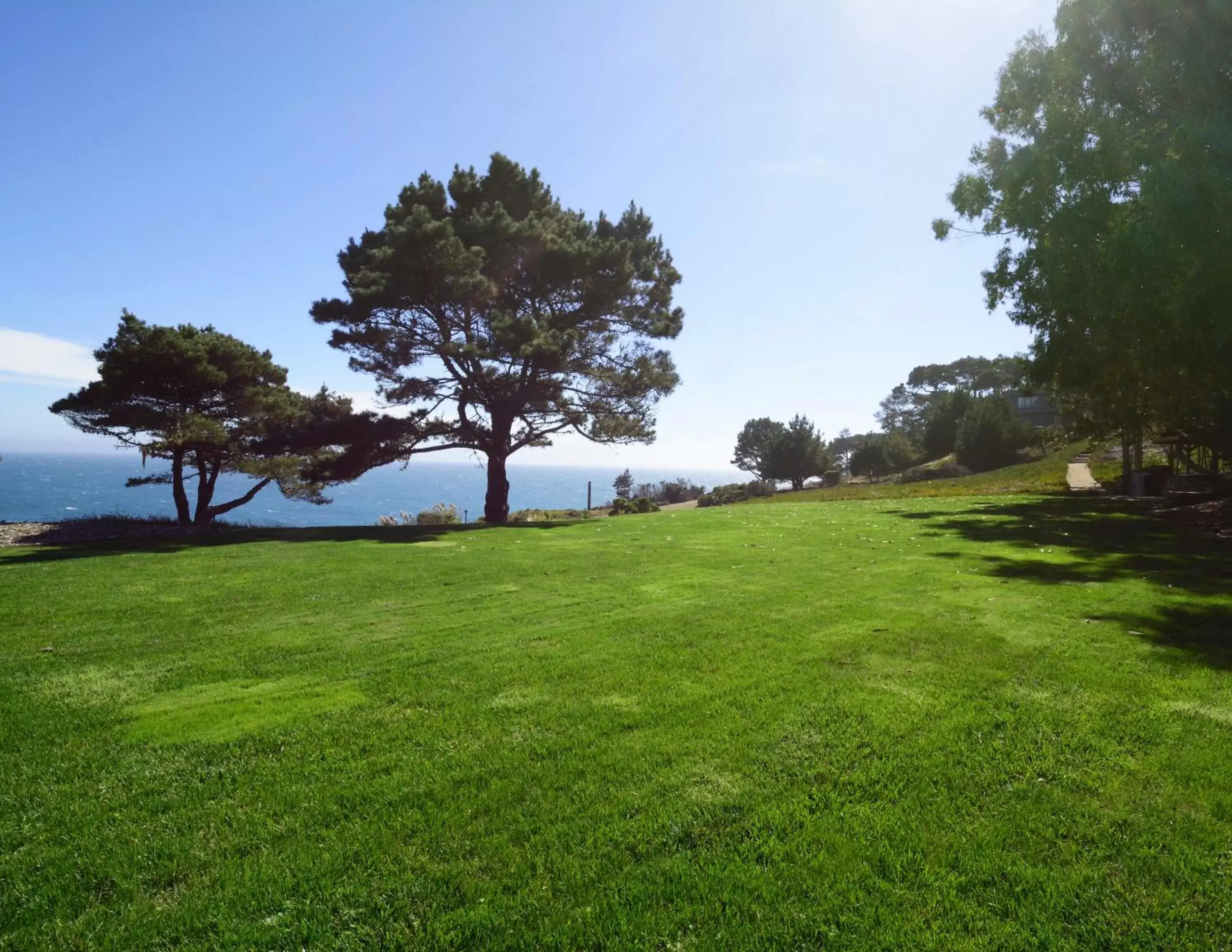 Day, Garden in Timber Cove Resort