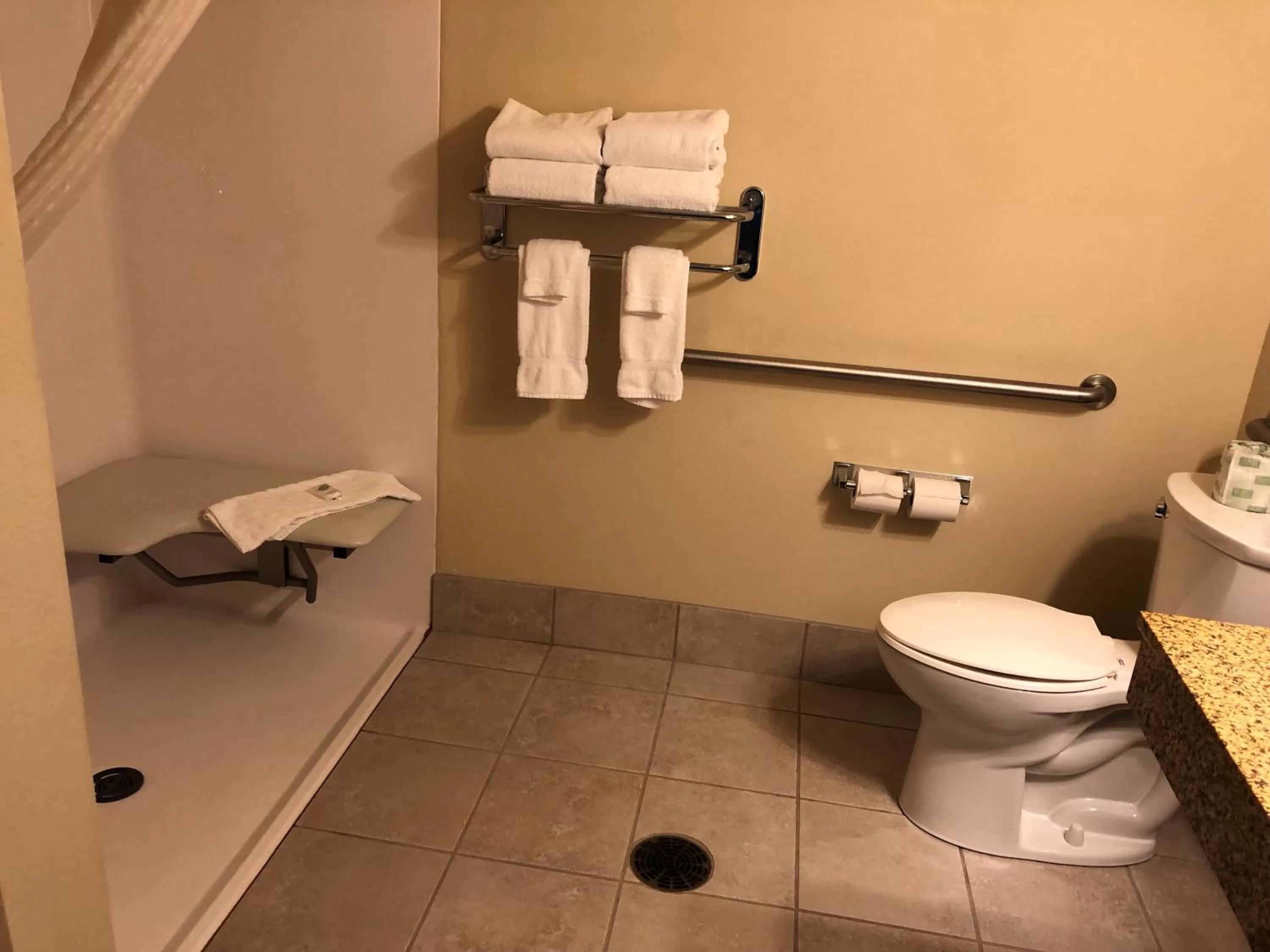 Shower in Cobblestone Inn & Suites - Brillion