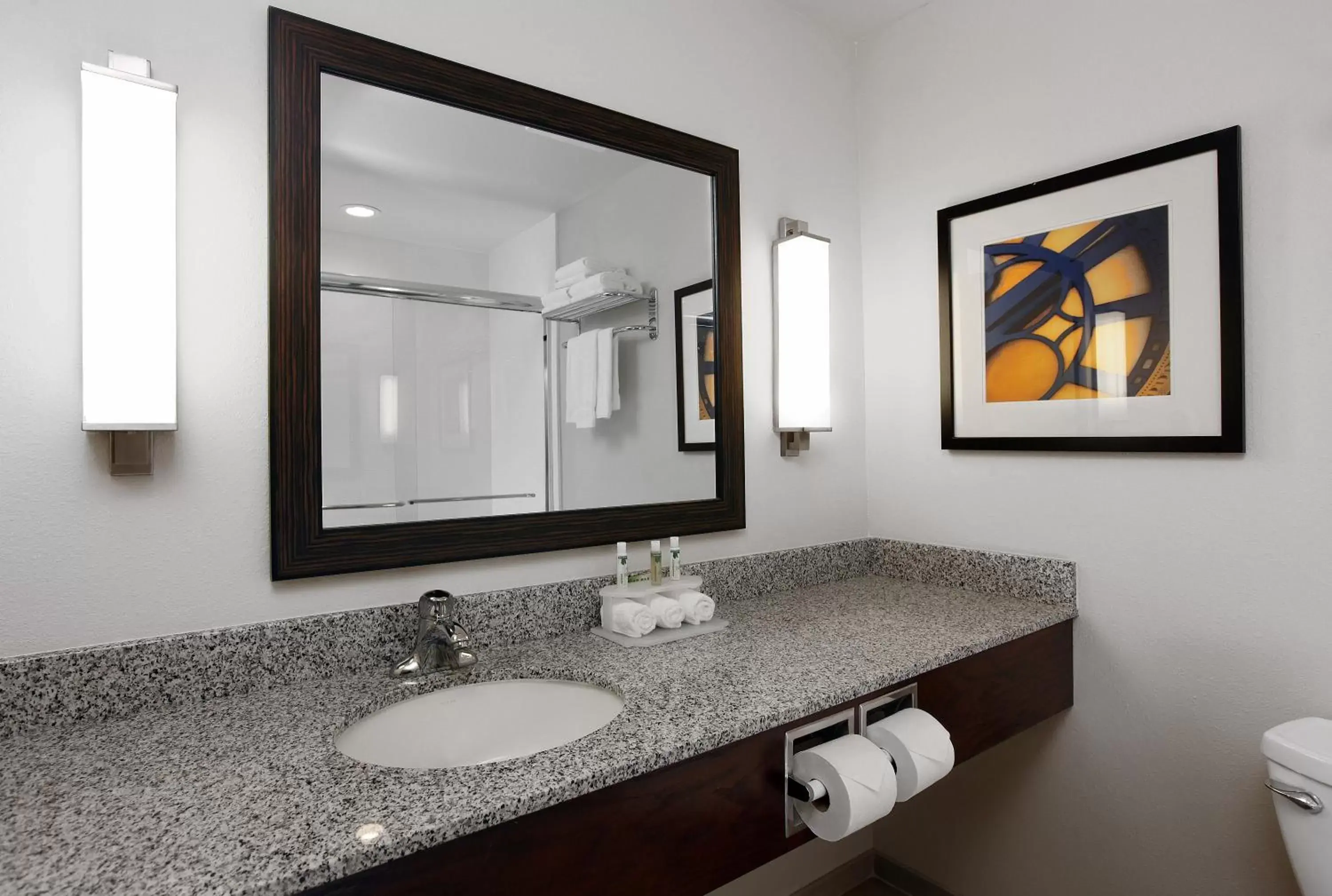 Photo of the whole room, Bathroom in Holiday Inn Express & Suites Omaha South Ralston Arena, an IHG Hotel