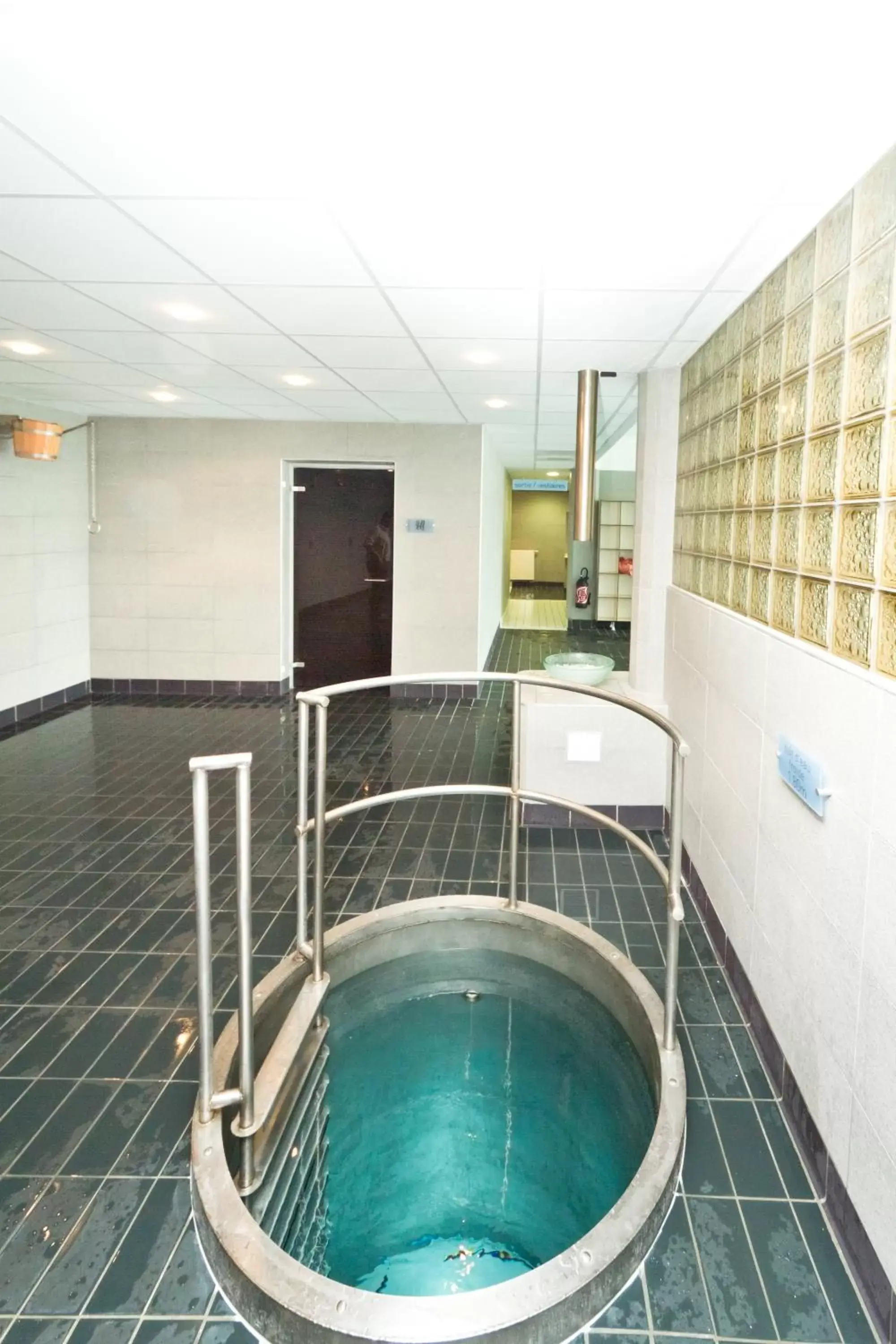 Spa and wellness centre/facilities, Swimming Pool in Villa Thermae Thonon-Les-Bains