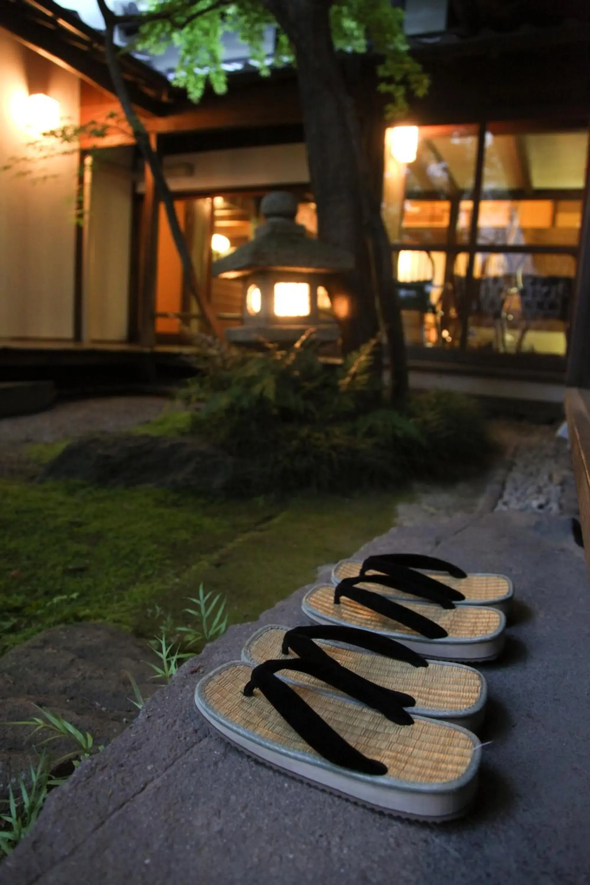 Garden, Property Building in Ryori Ryokan Tsurugata Hotel