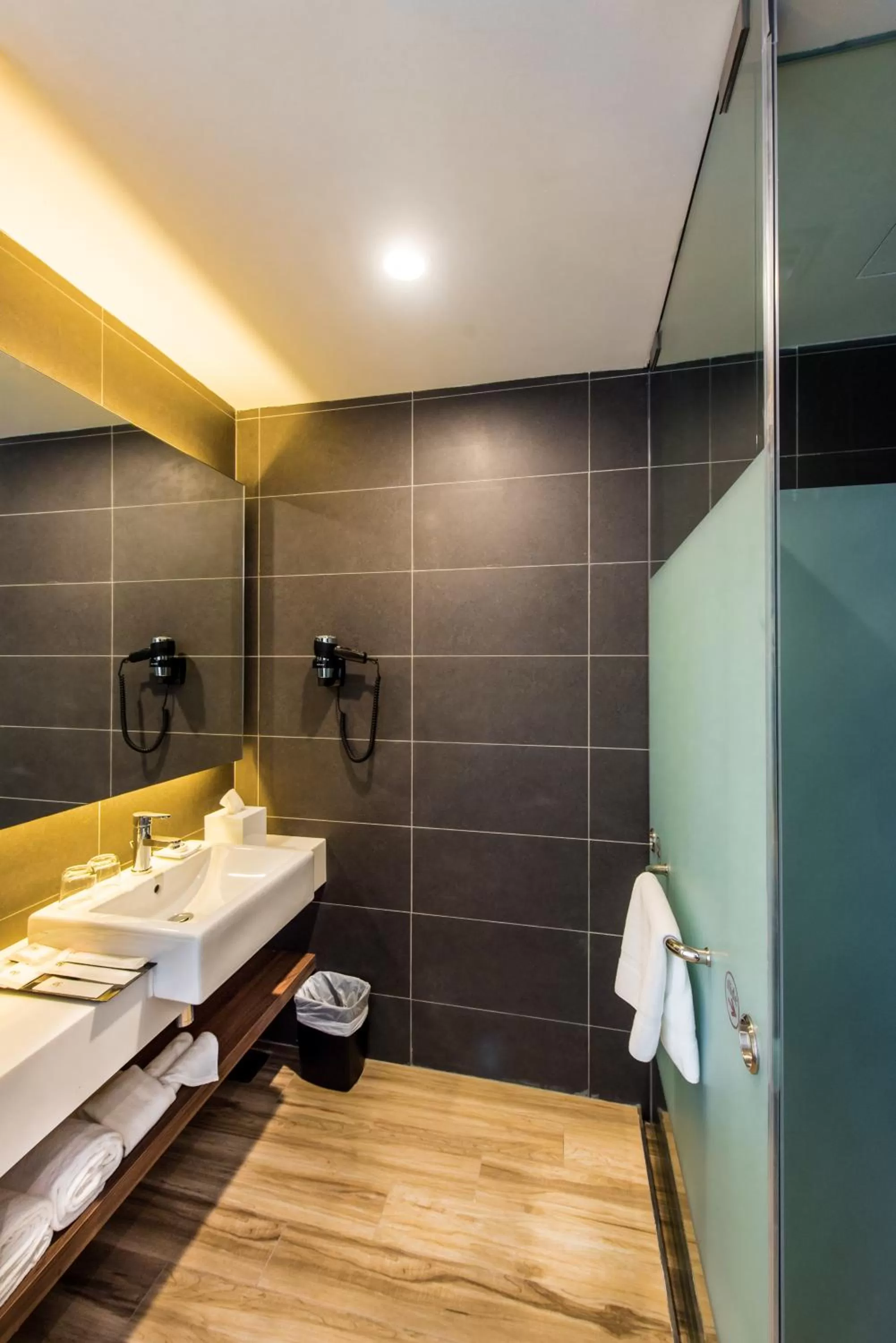 Toilet in The Smith House