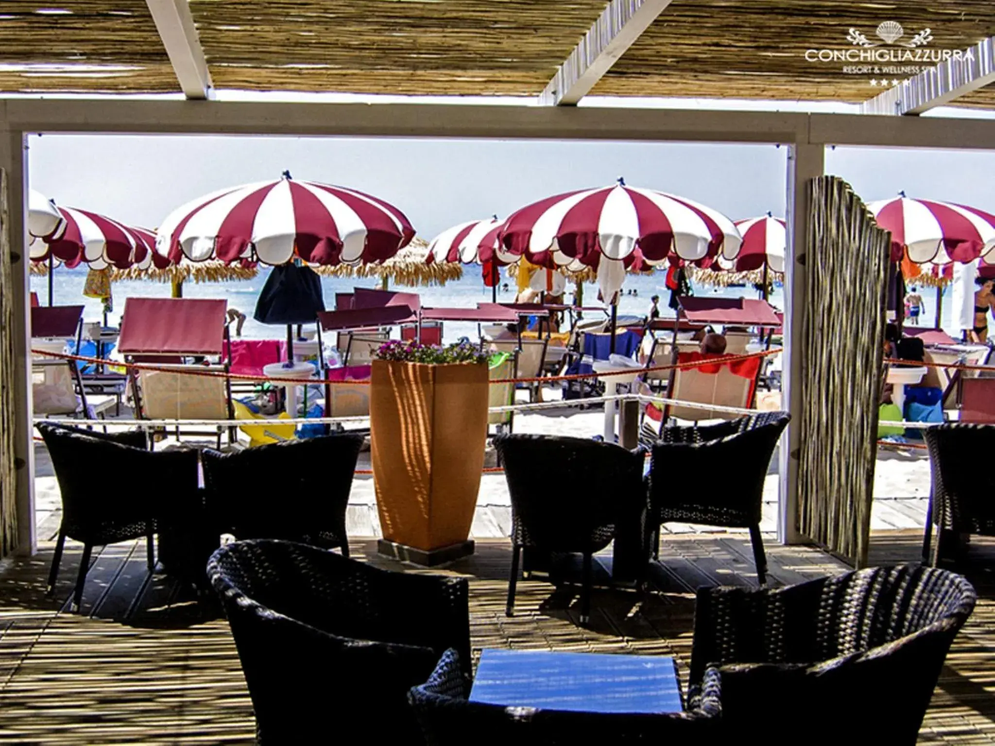 Restaurant/Places to Eat in Conchiglia Azzurra Hotel & Beach