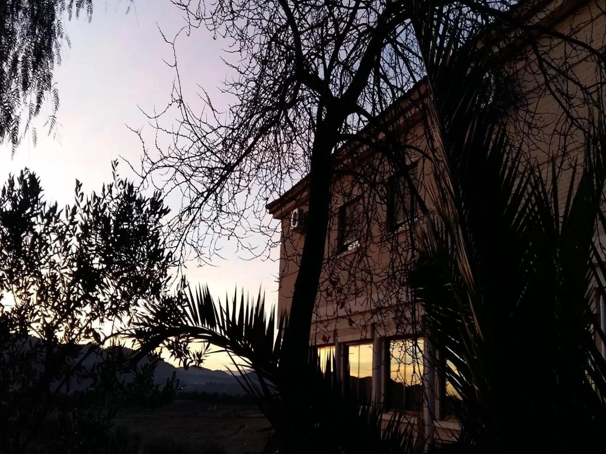 Area and facilities in Hotel Argos