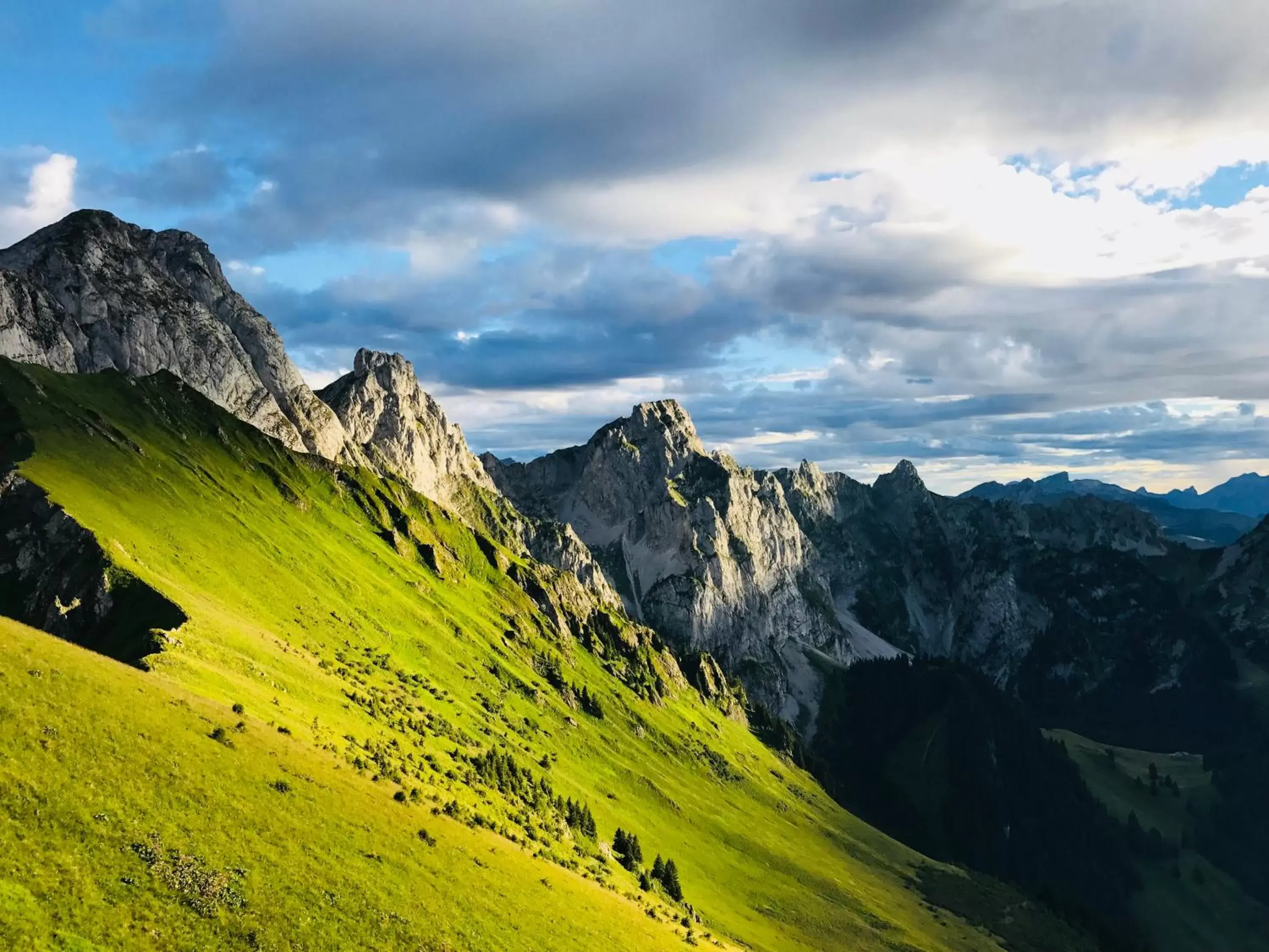 Natural Landscape in Hotel de Commune