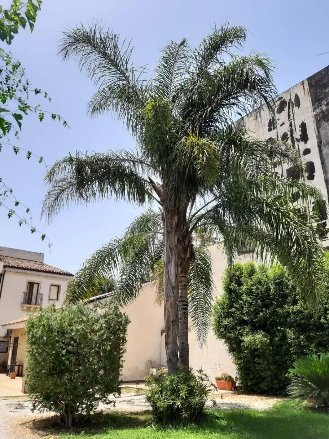 Garden, Property Building in Residence La Palma
