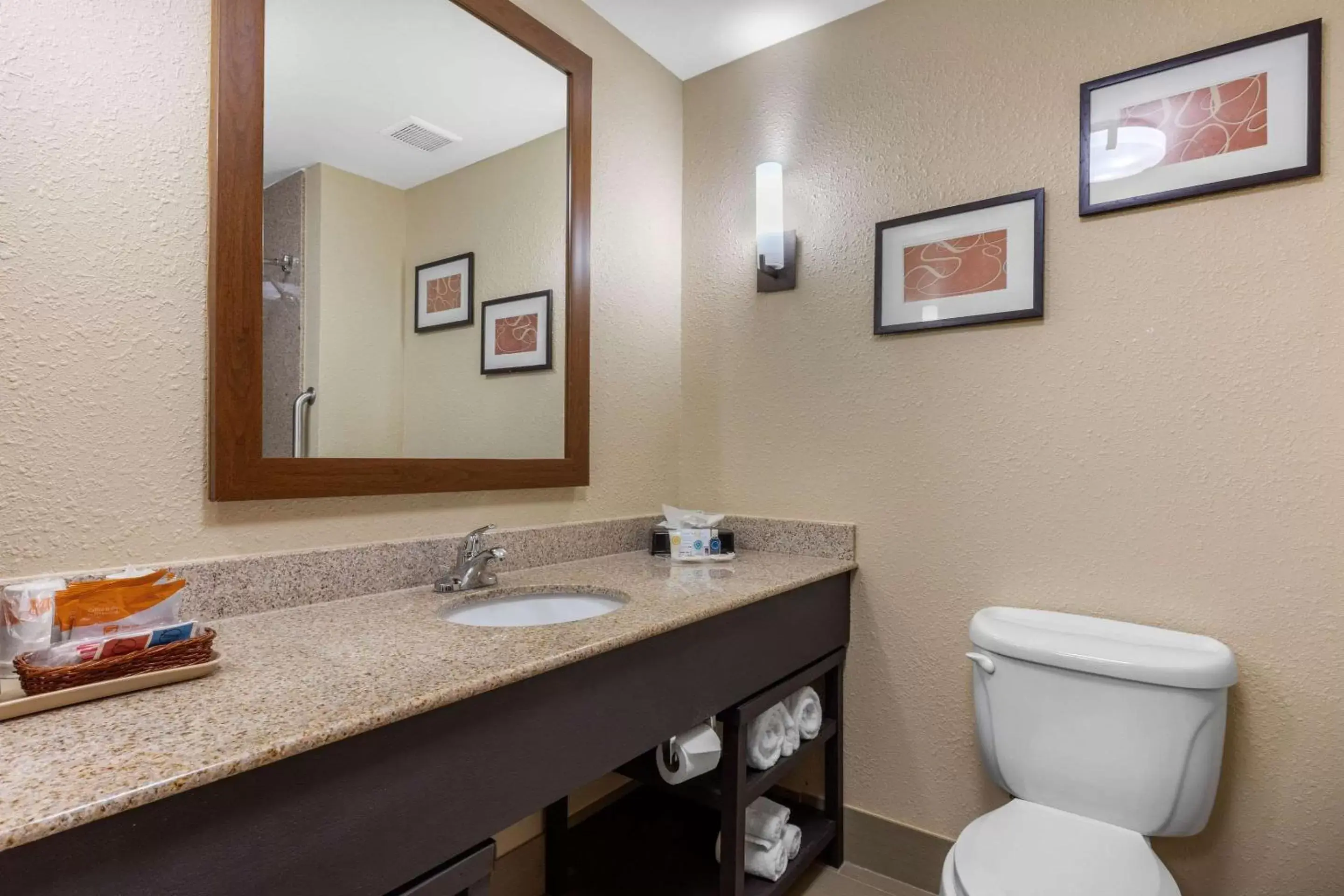 Photo of the whole room, Bathroom in Comfort Suites Pelham Hoover I-65