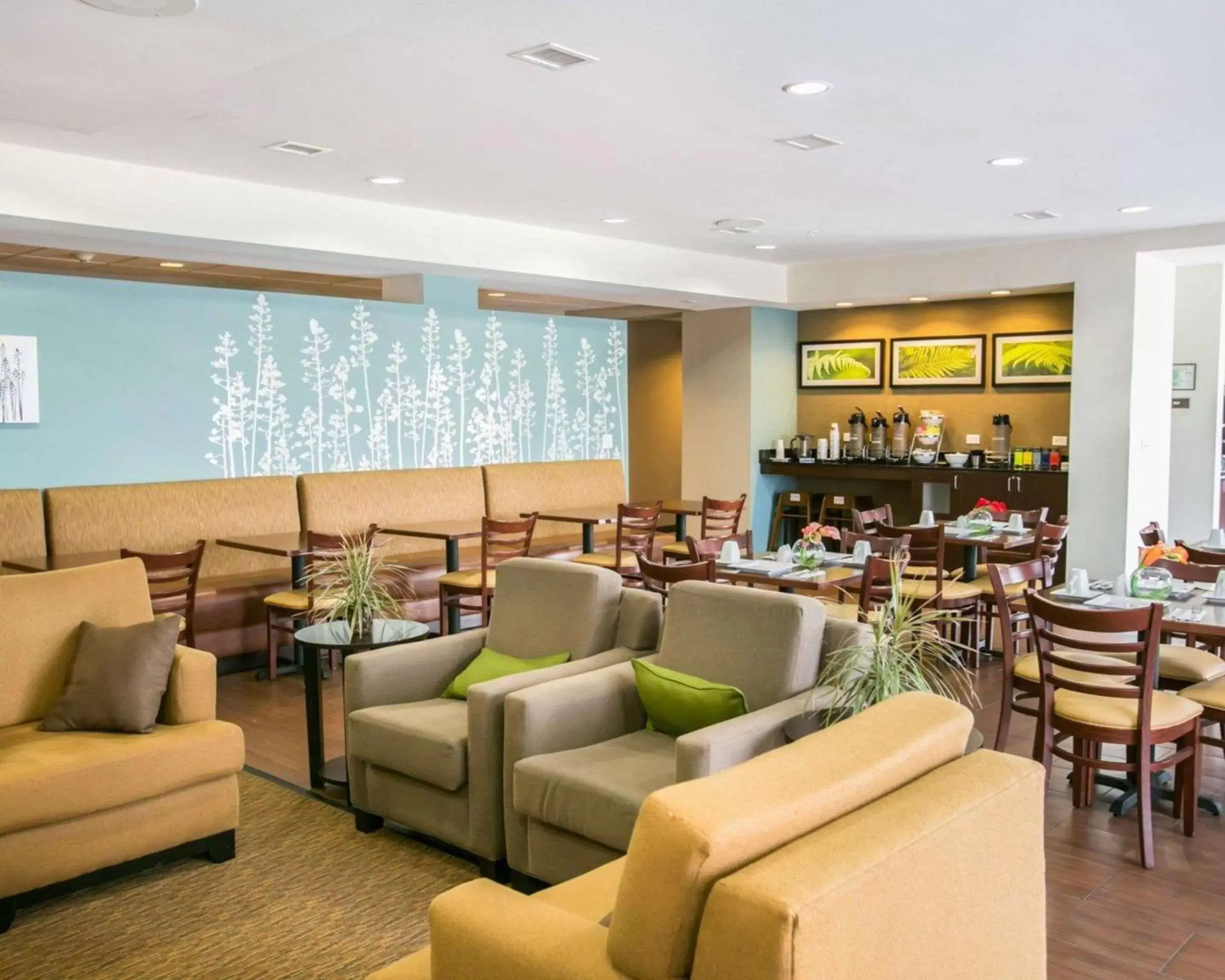 Lobby or reception, Lounge/Bar in Sleep Inn & Suites Austin