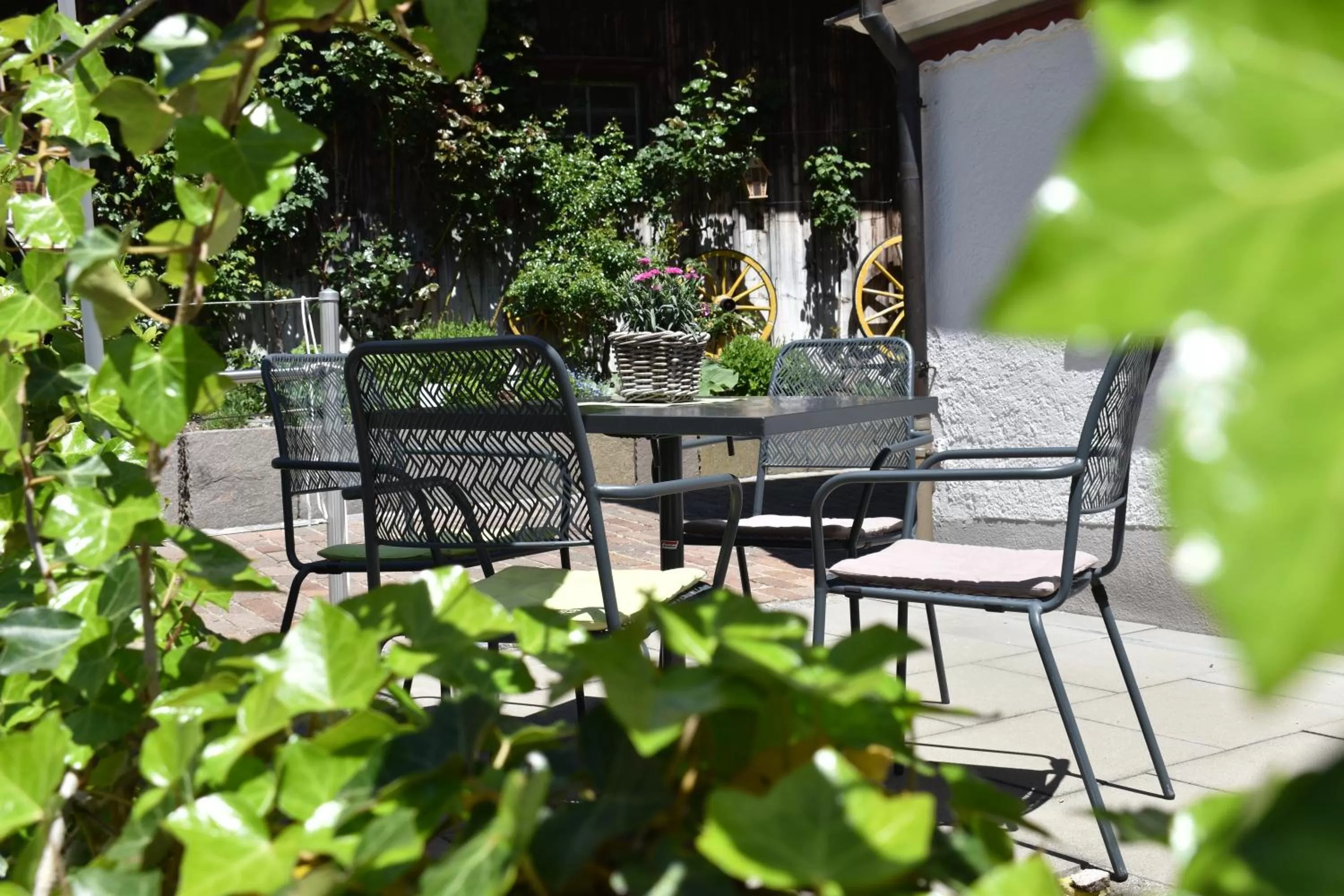 Garden in Gasthaus Sternen