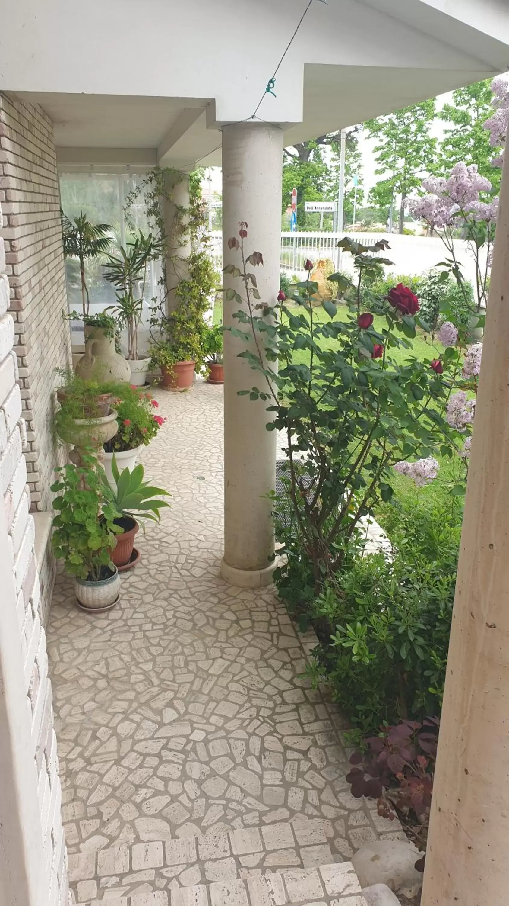 Garden view in Villa Gioia Rooms