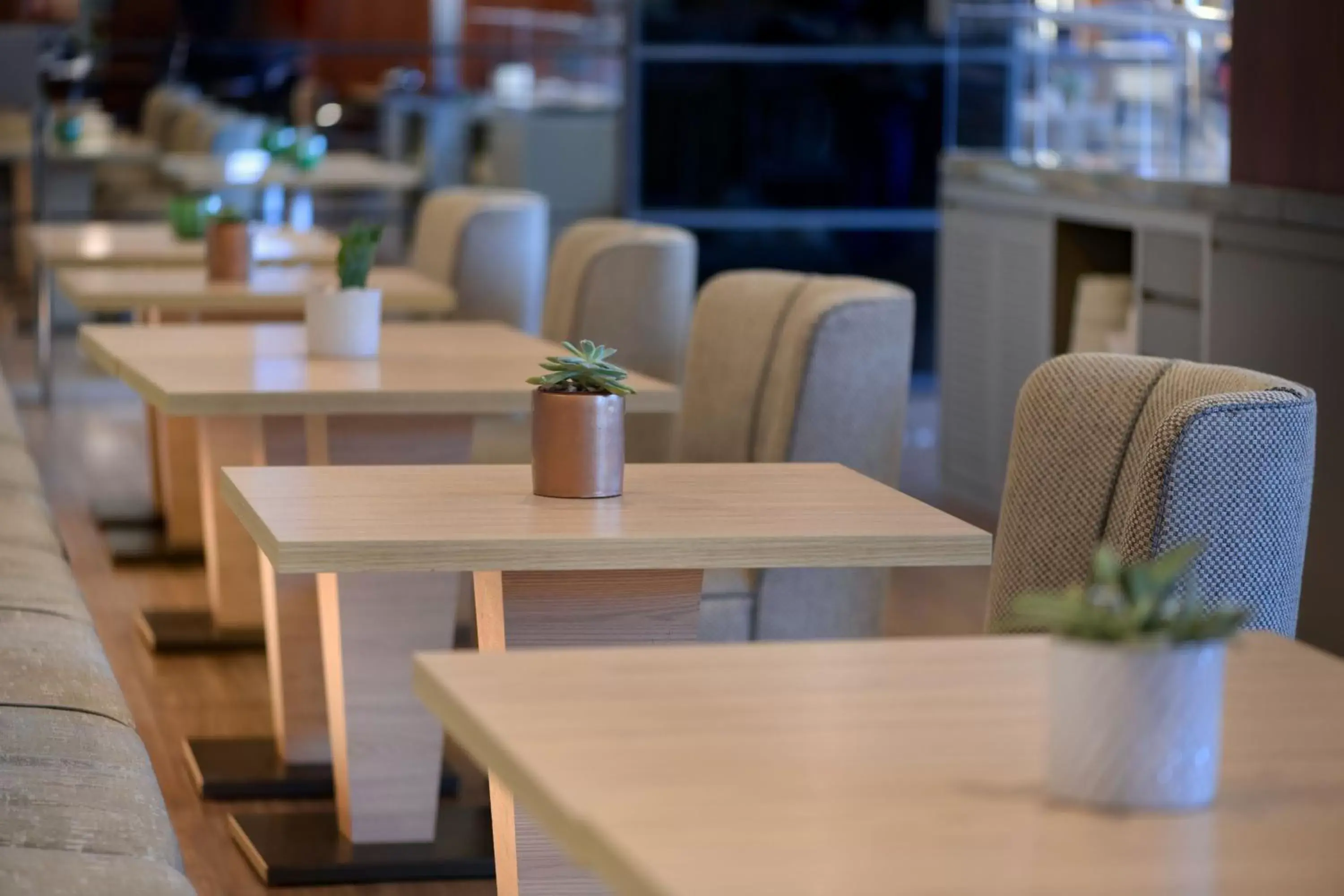 Lounge or bar, Restaurant/Places to Eat in AC Hotel Murcia by Marriott